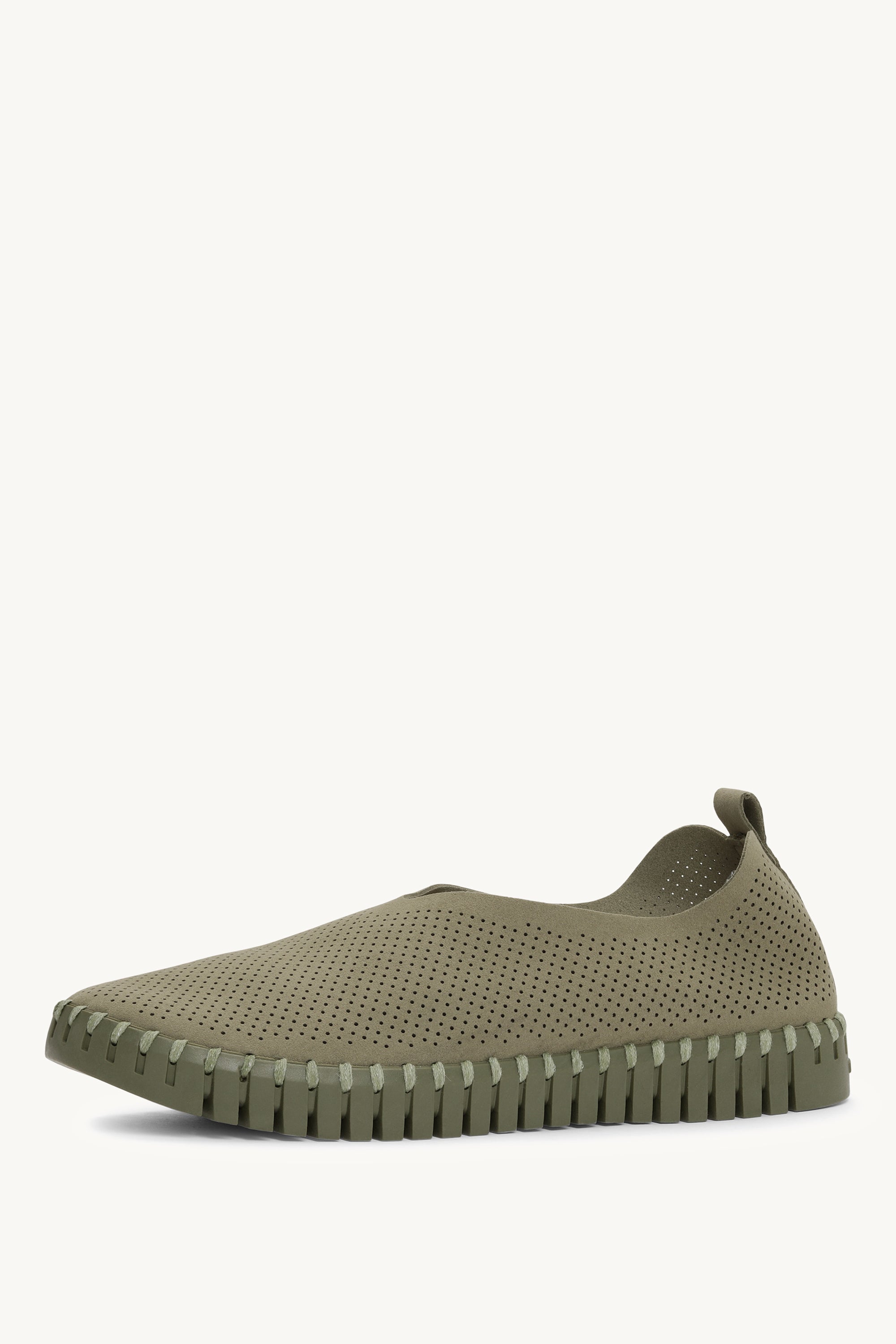 TULIP3272CB ARMY ARMY