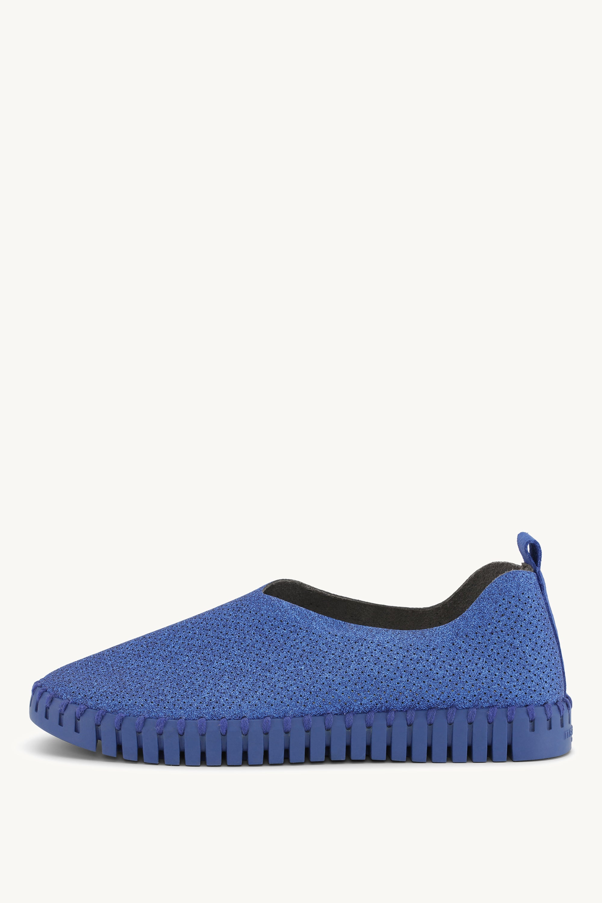 TULIP3272GB BLUE WEB BLUE WEB