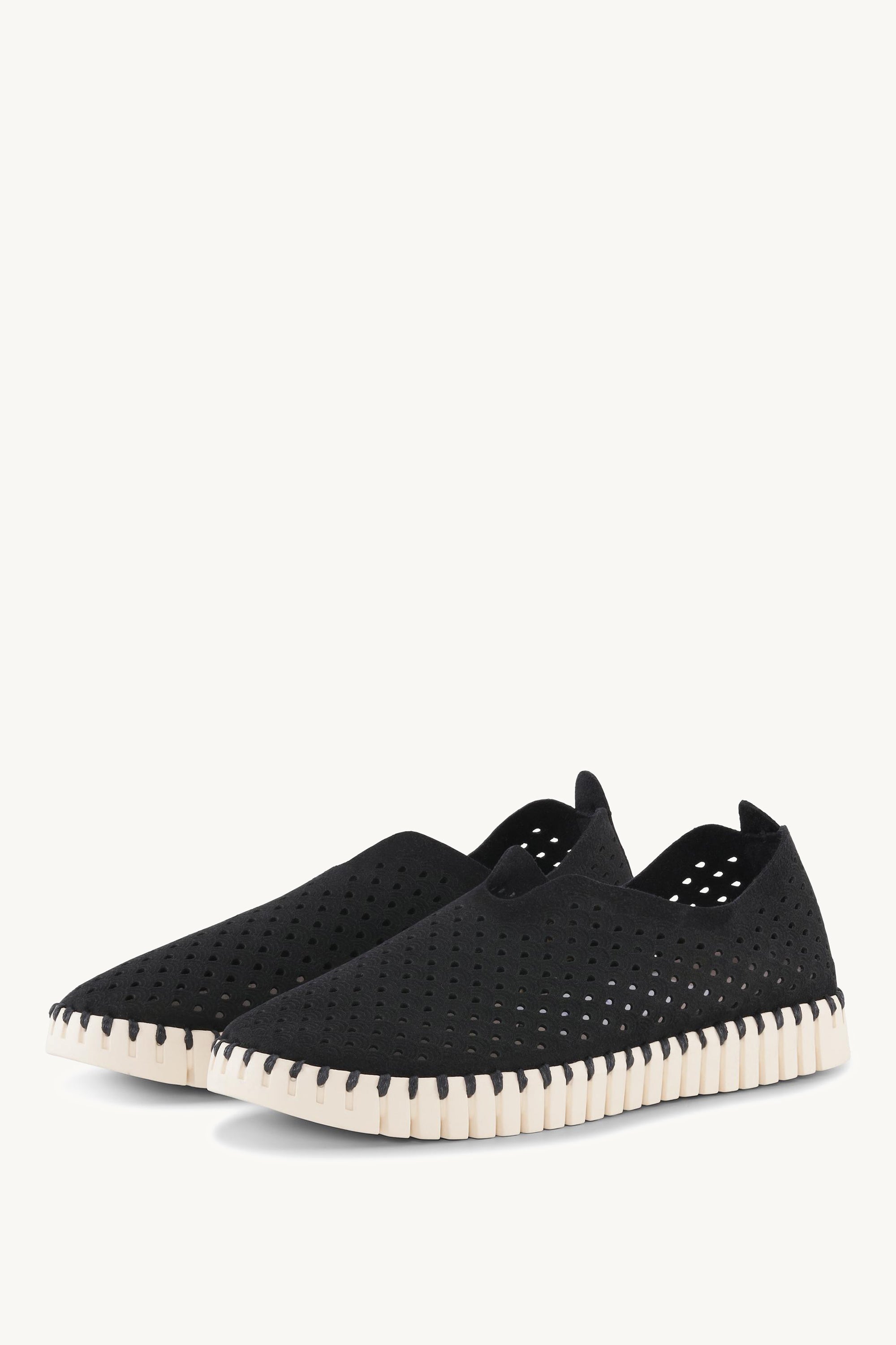 TULIP3275 BLACK