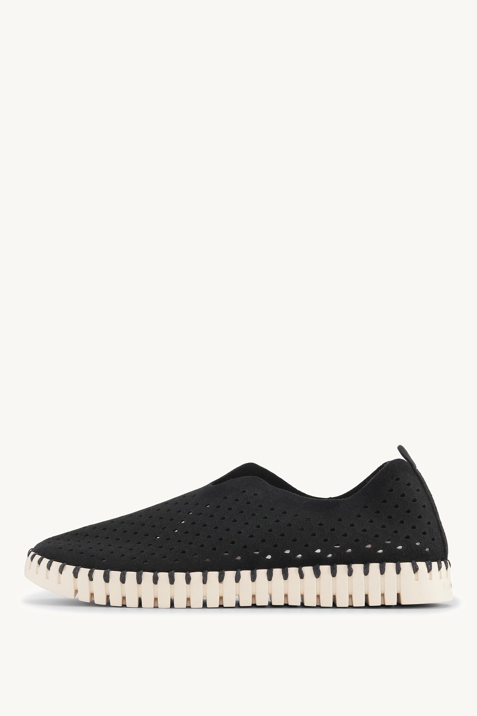 TULIP3275 BLACK