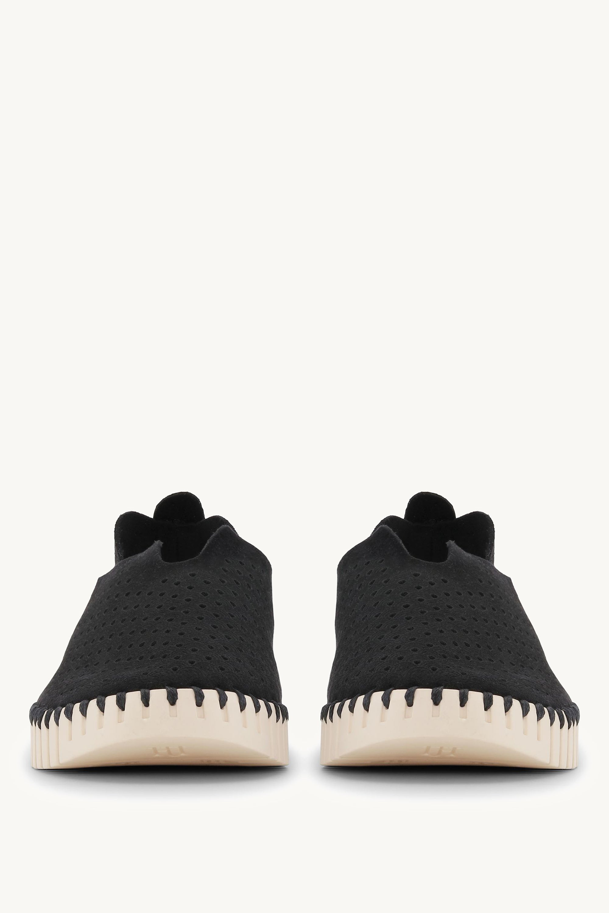 TULIP3275 BLACK