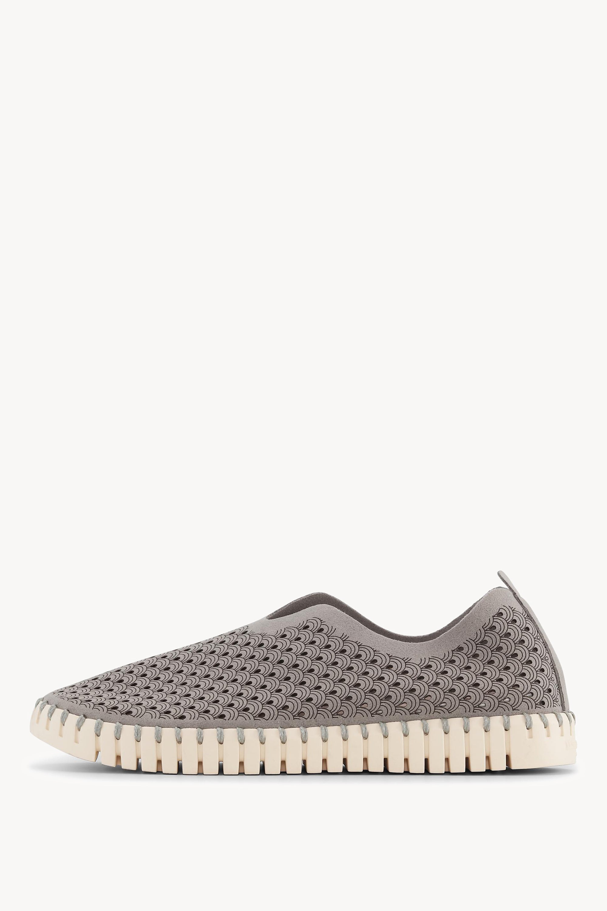 TULIP3275 GREY