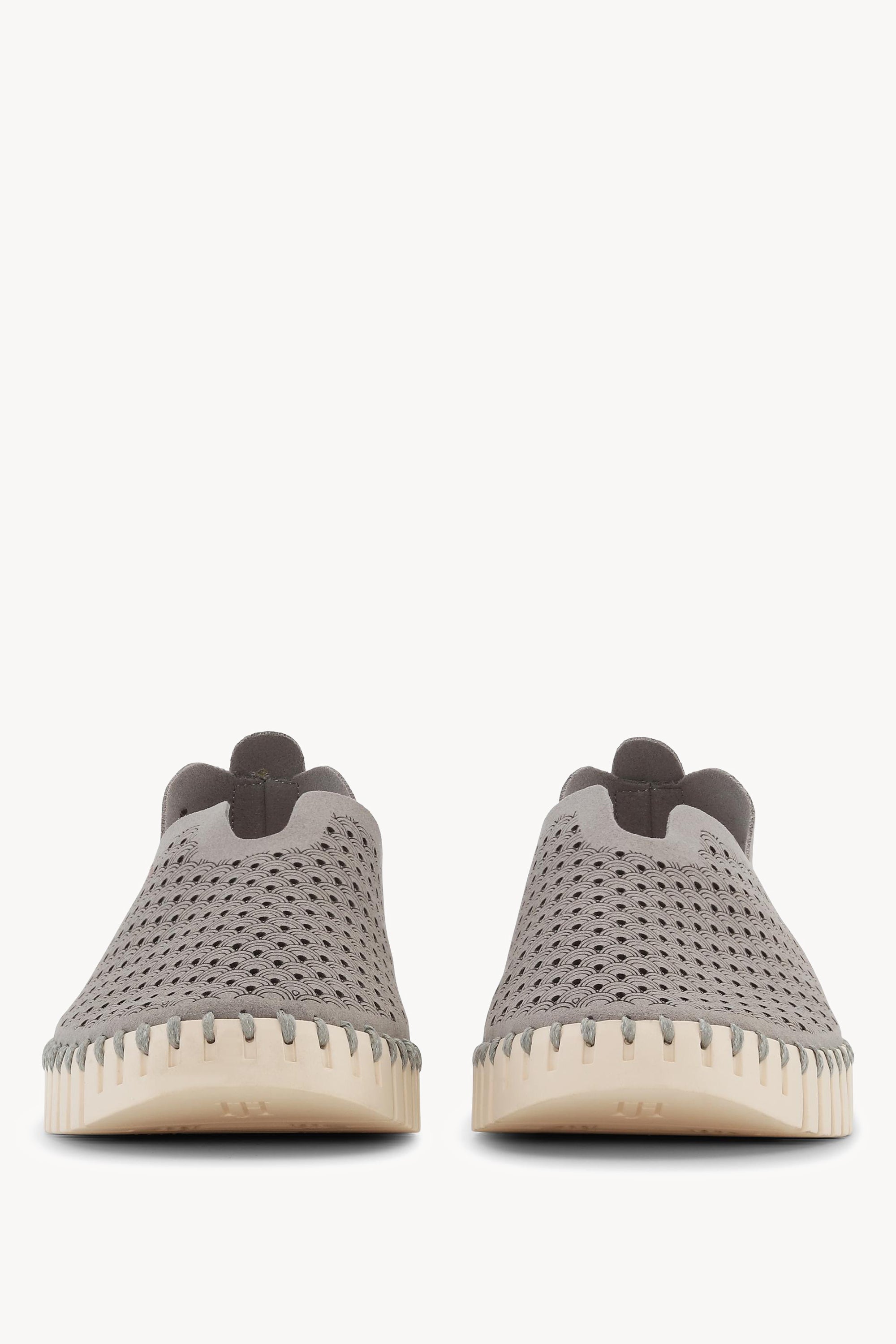 TULIP3275 GREY