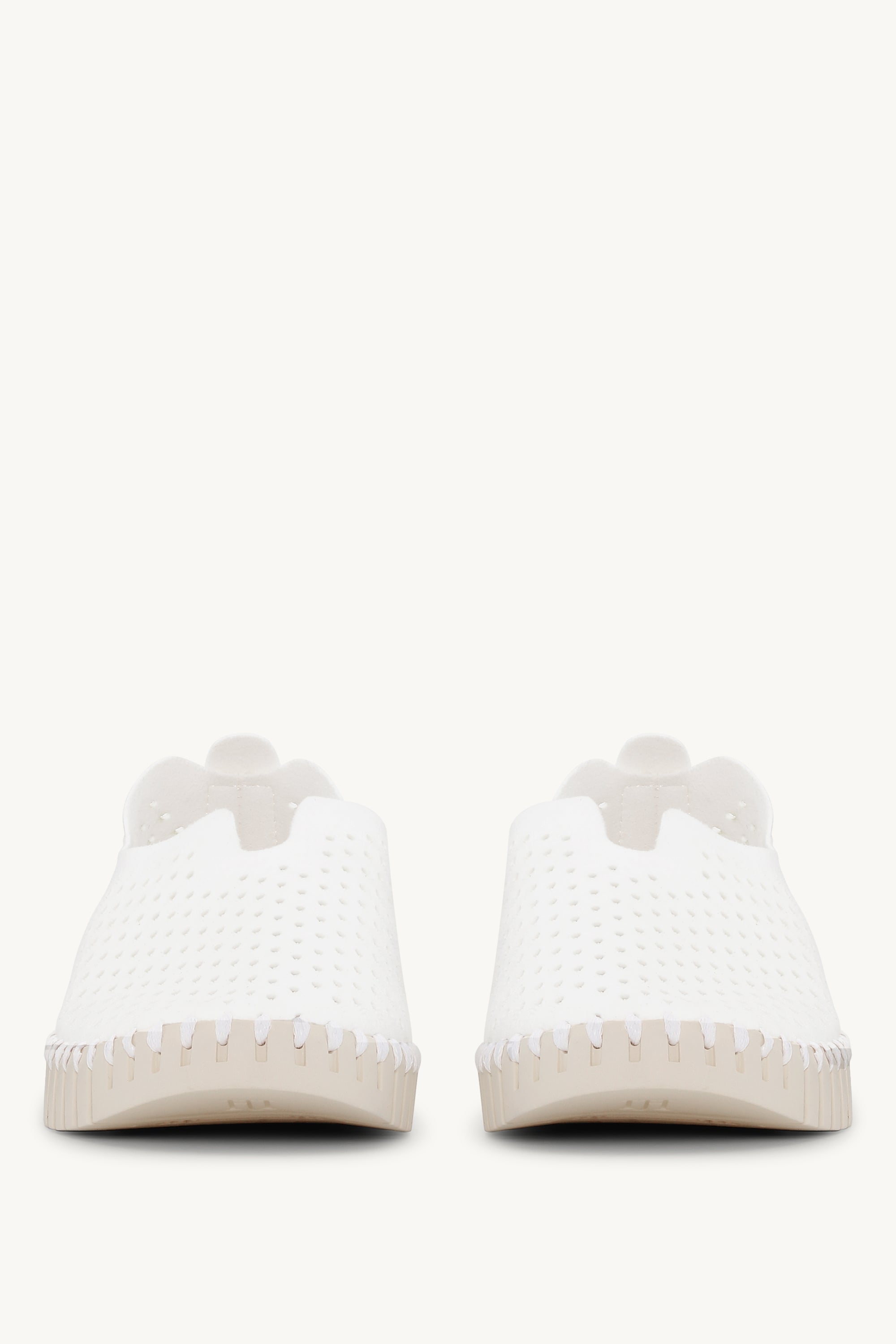 TULIP3275 WHITE