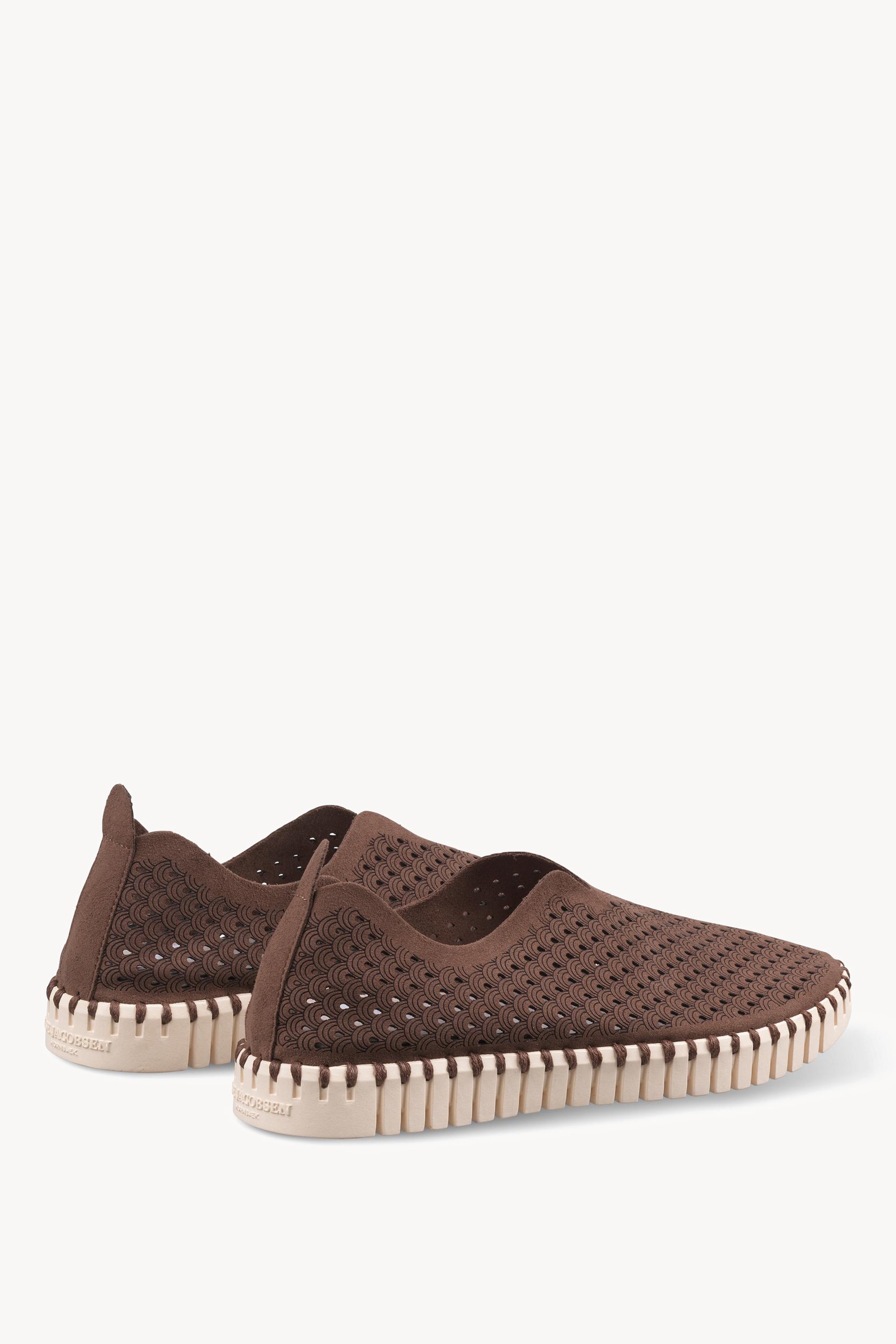 TULIP3275 BROWN