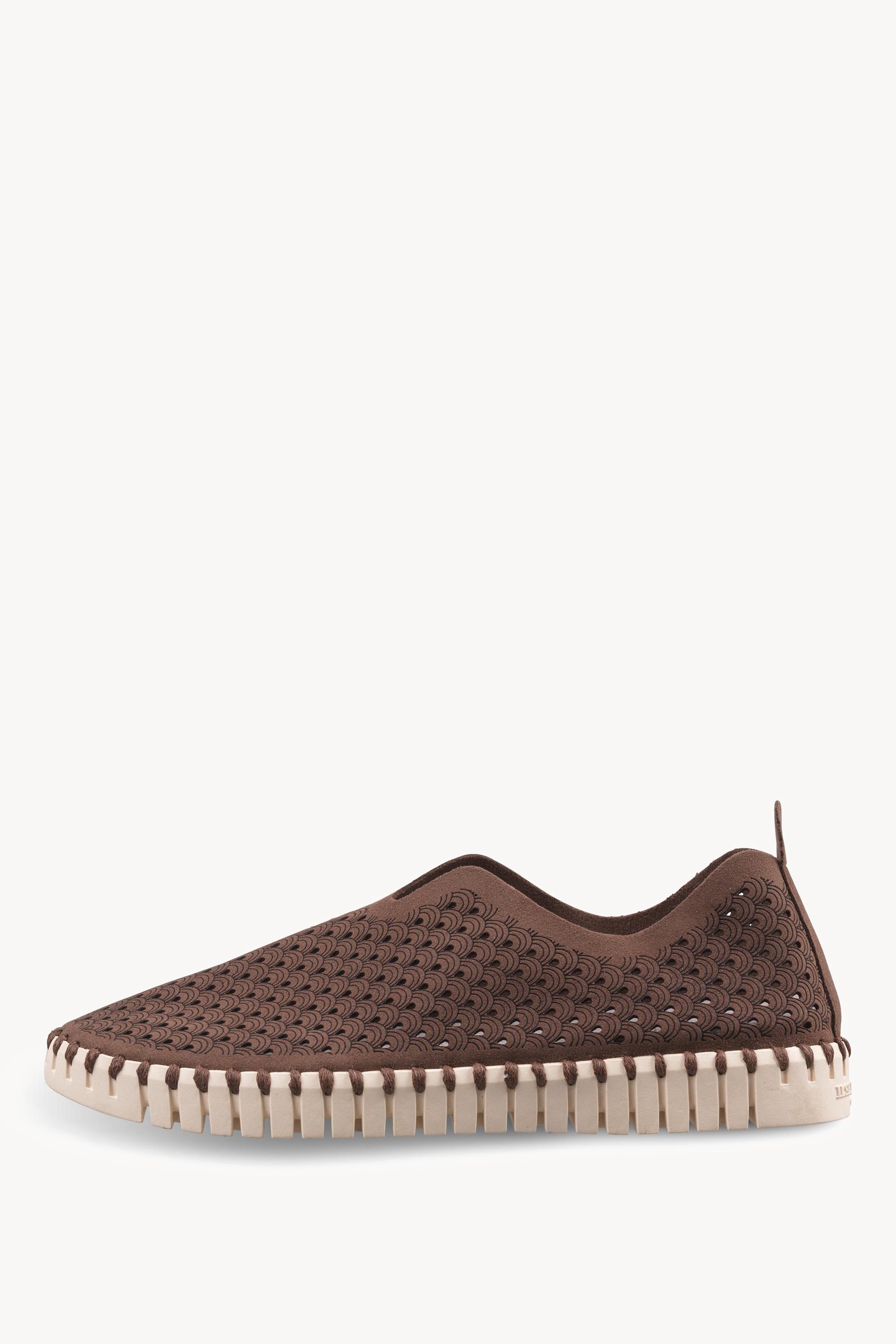 TULIP3275 BROWN