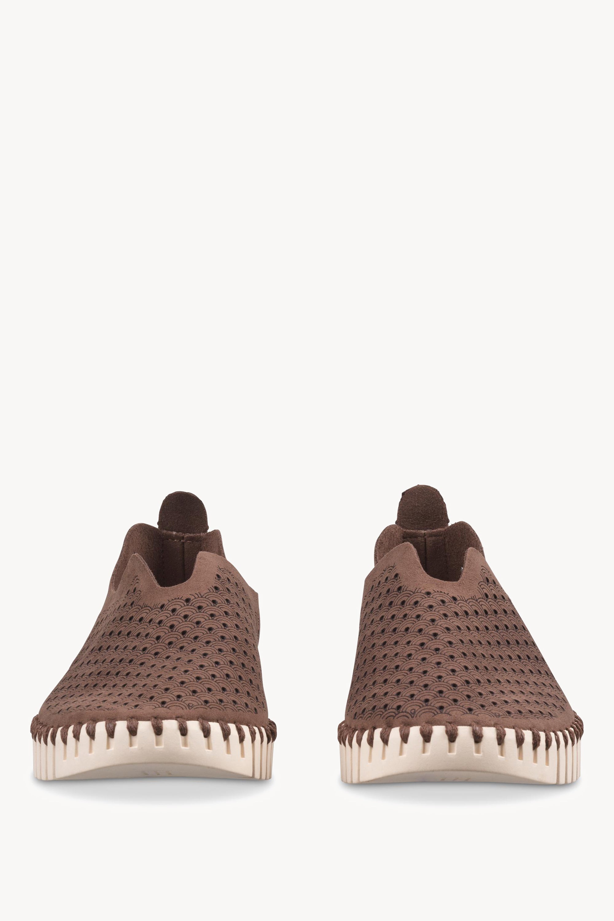 TULIP3275 BROWN