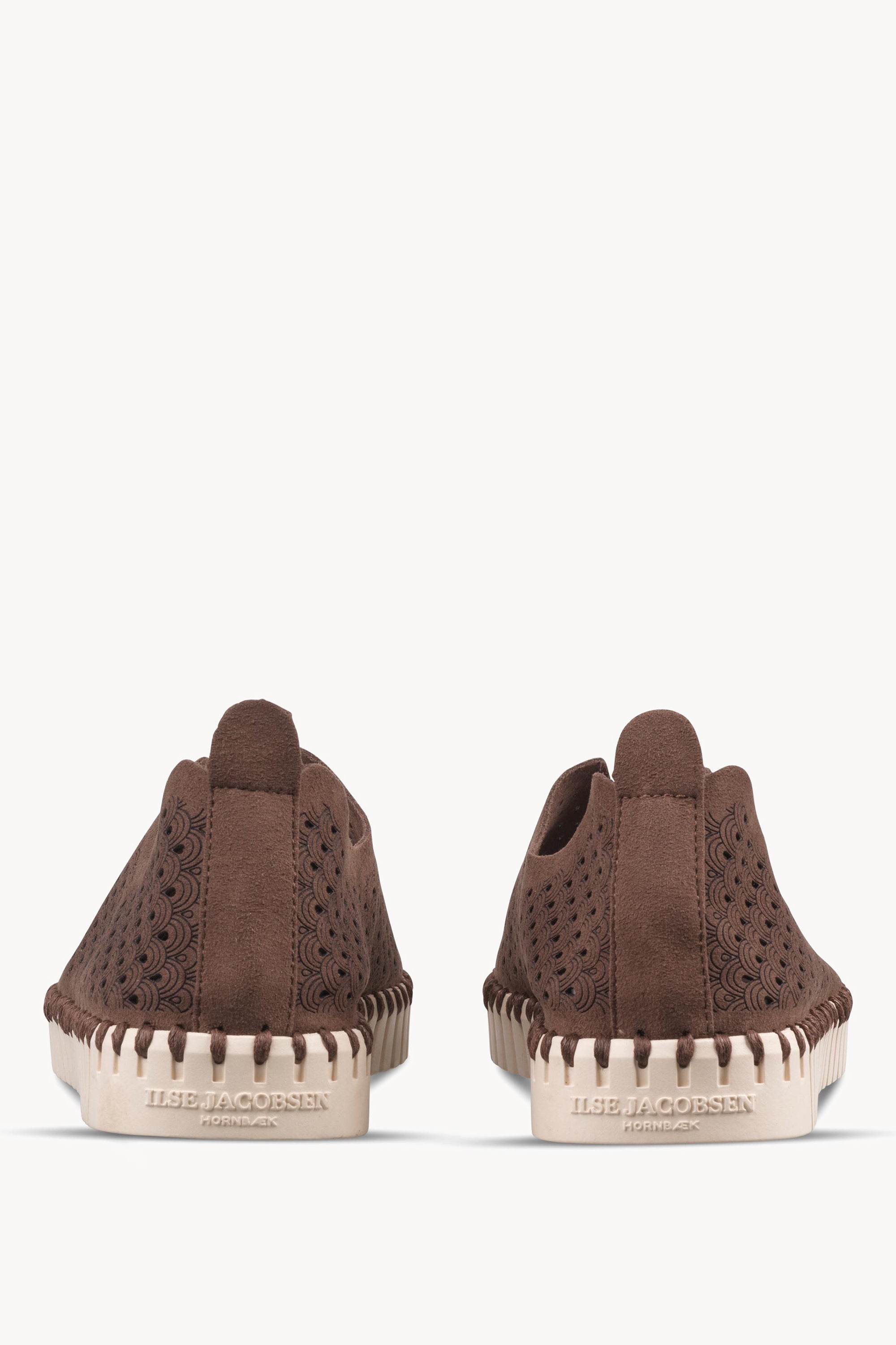 TULIP3275 BROWN