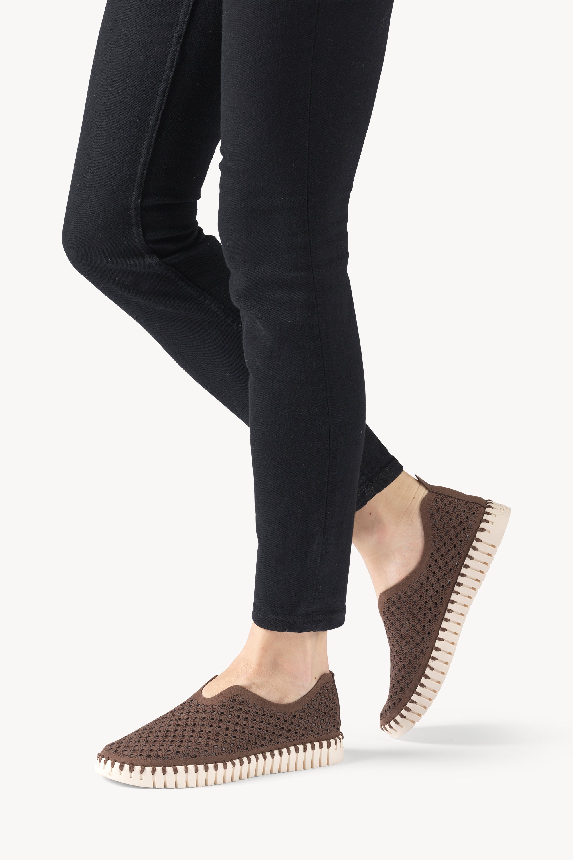 TULIP3275 BROWN