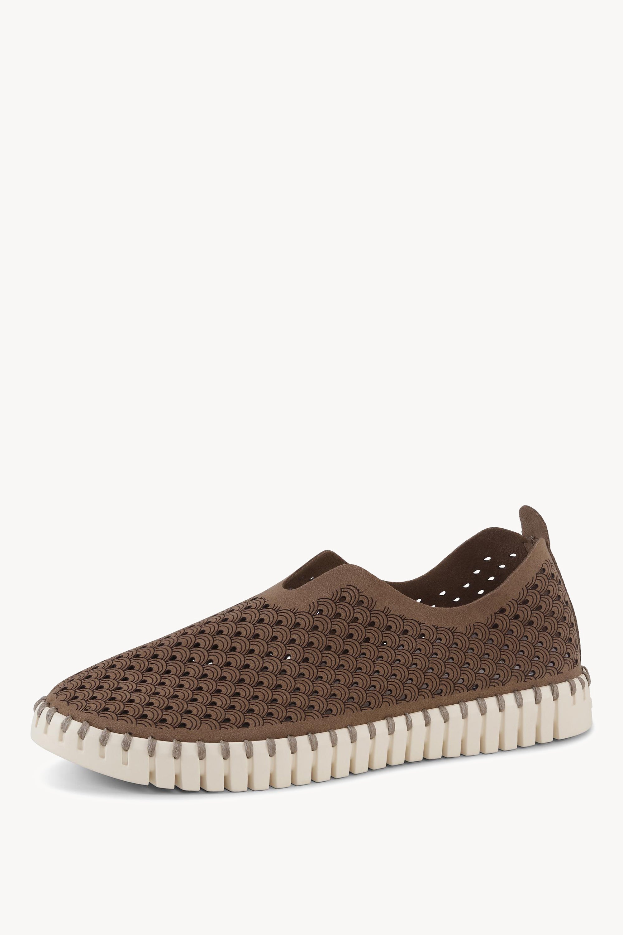 TULIP3275 MOCCA