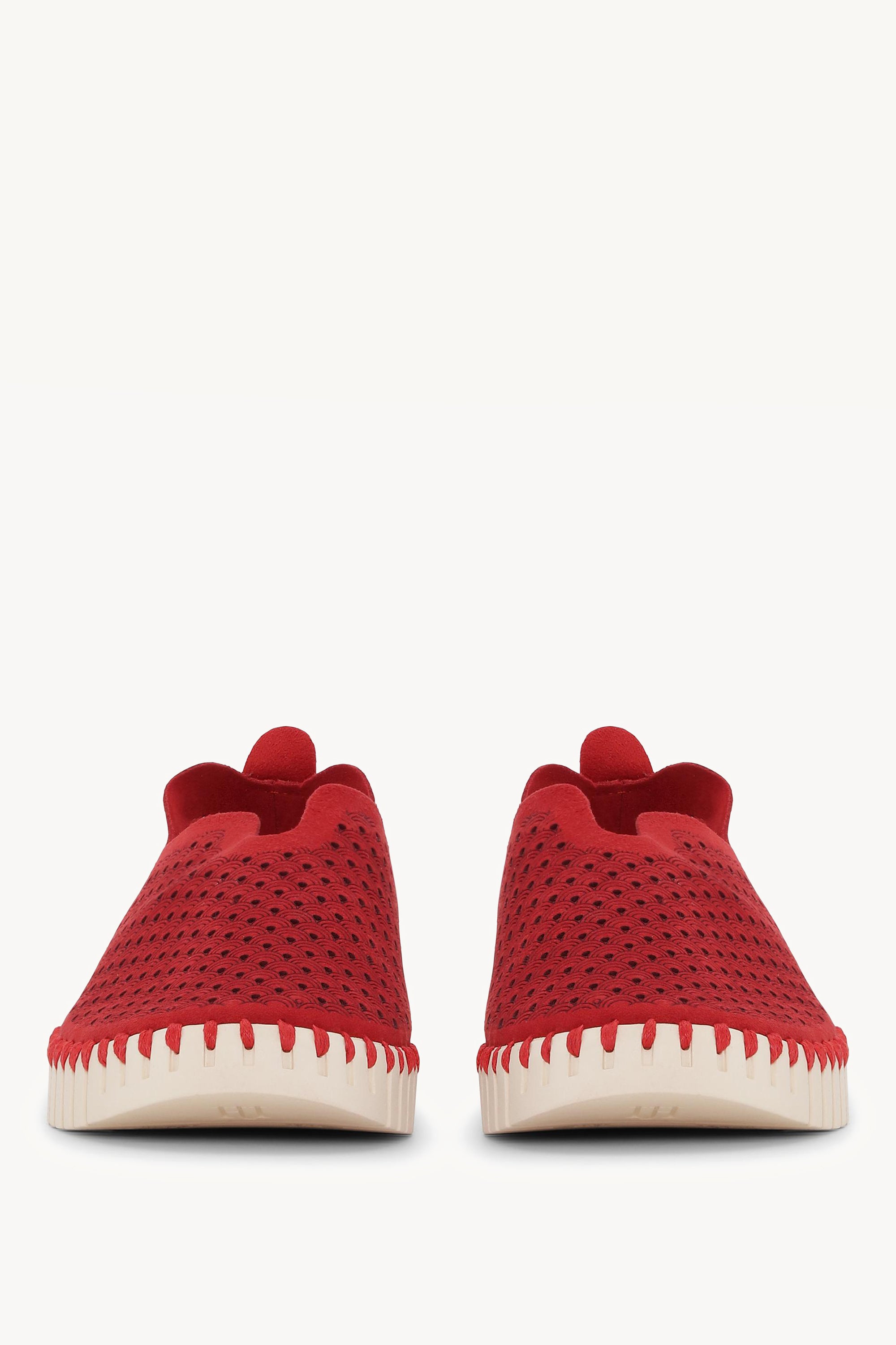 TULIP3275 RED
