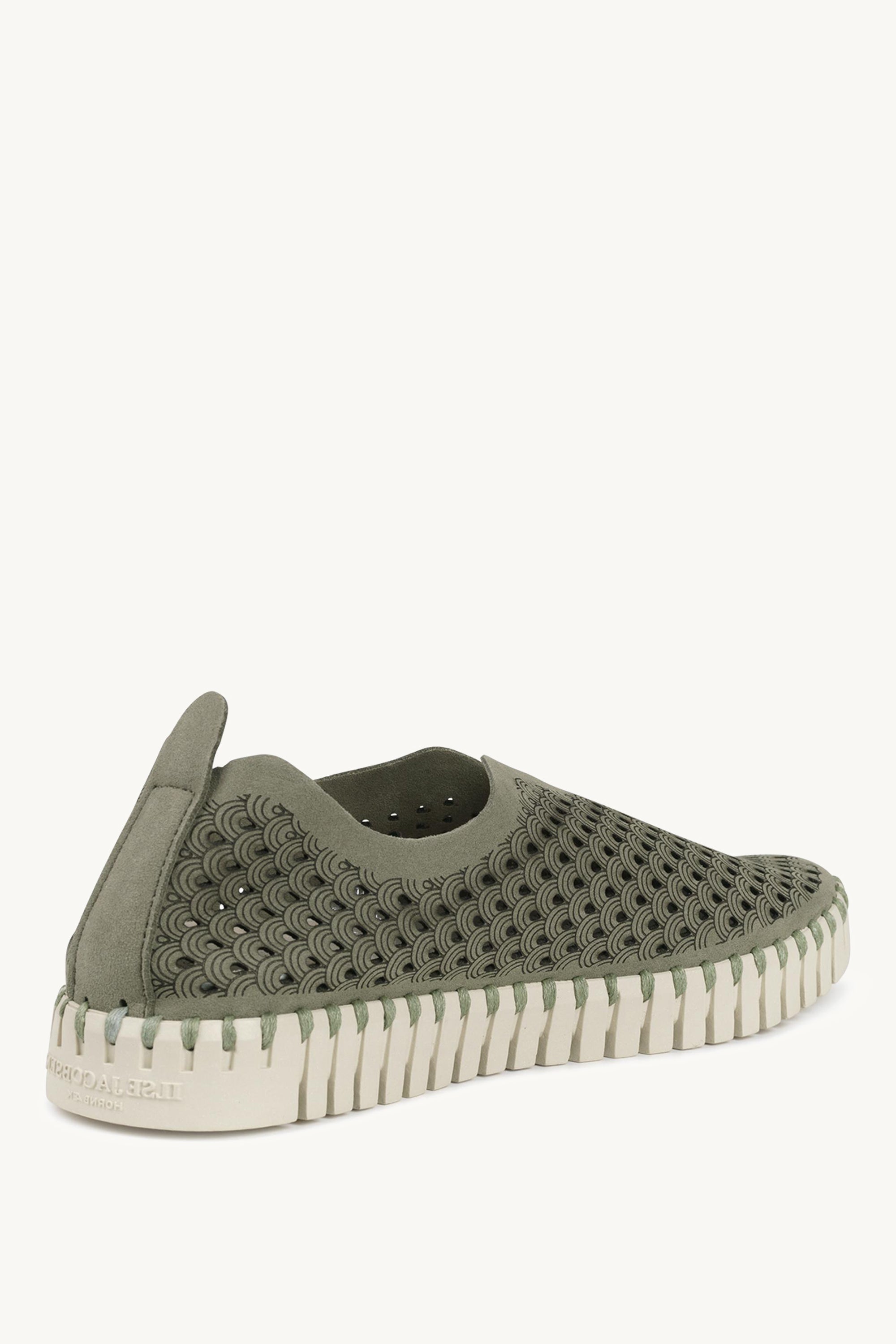 TULIP3275 ARMY