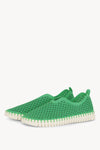 FERN GREEN