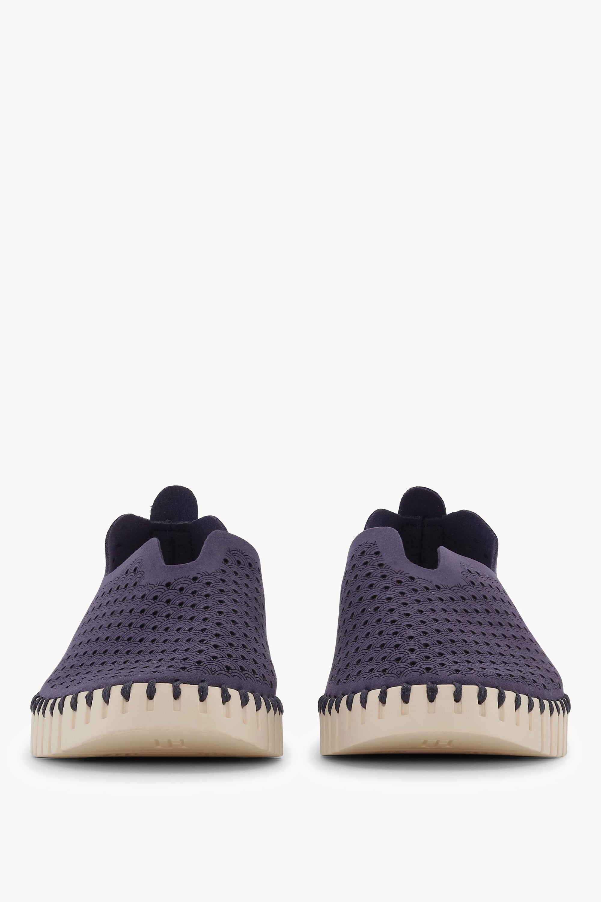 TULIP3275 NAVY