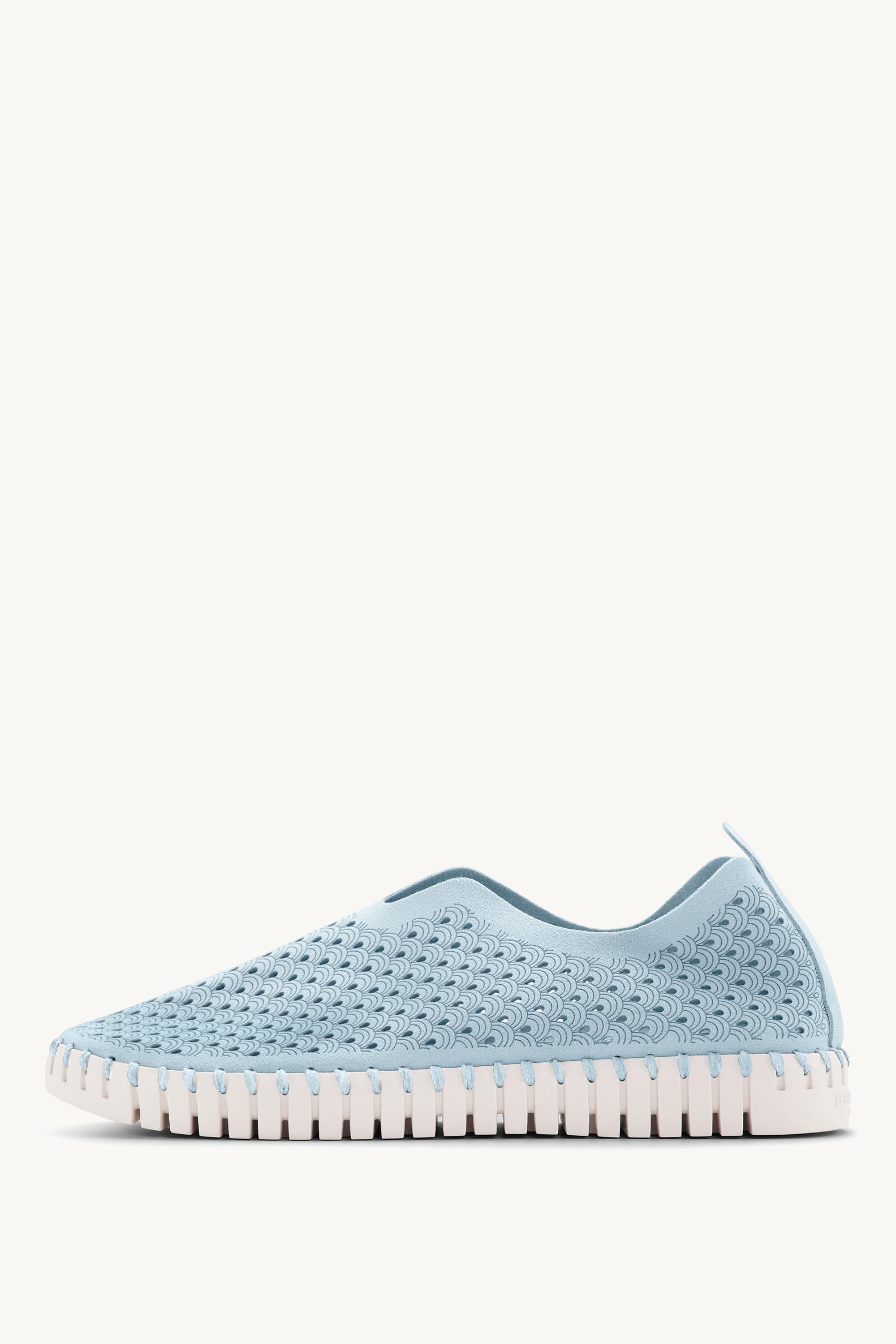 TULIP3275 ASH BLUE