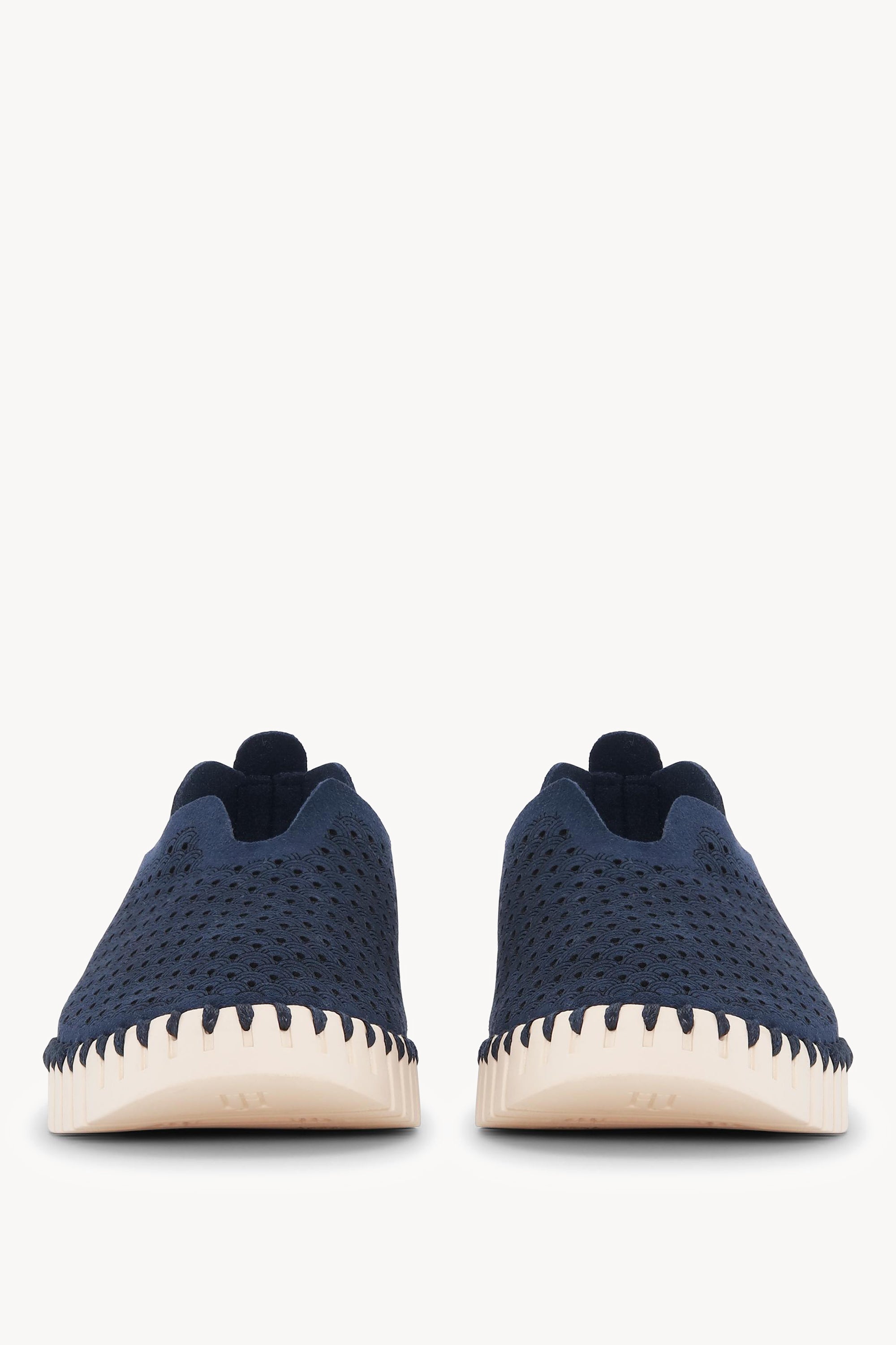 TULIP3275 DARK INDIGO