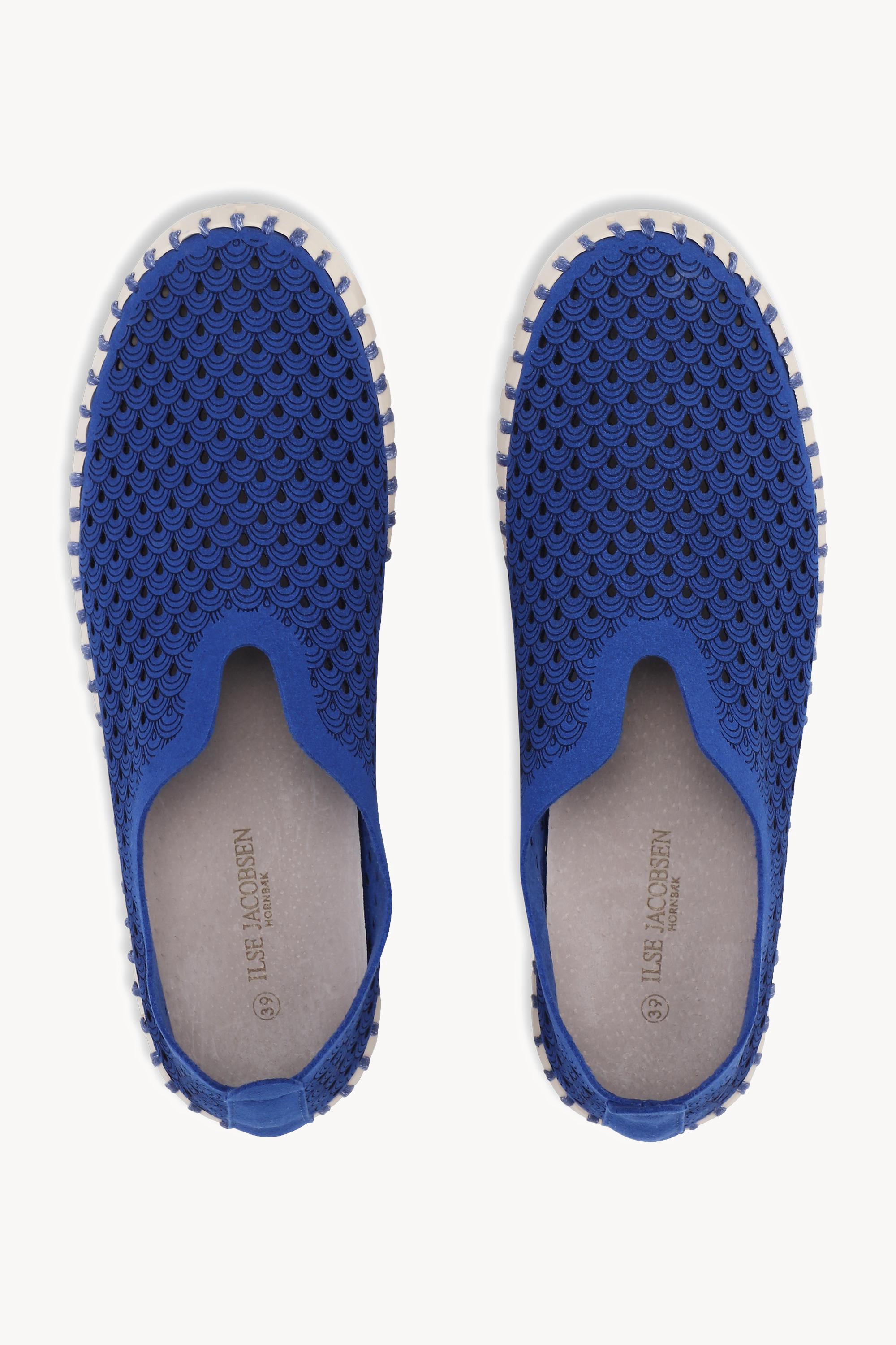TULIP3275 BLUE WEB