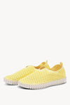 LEMON DROP
