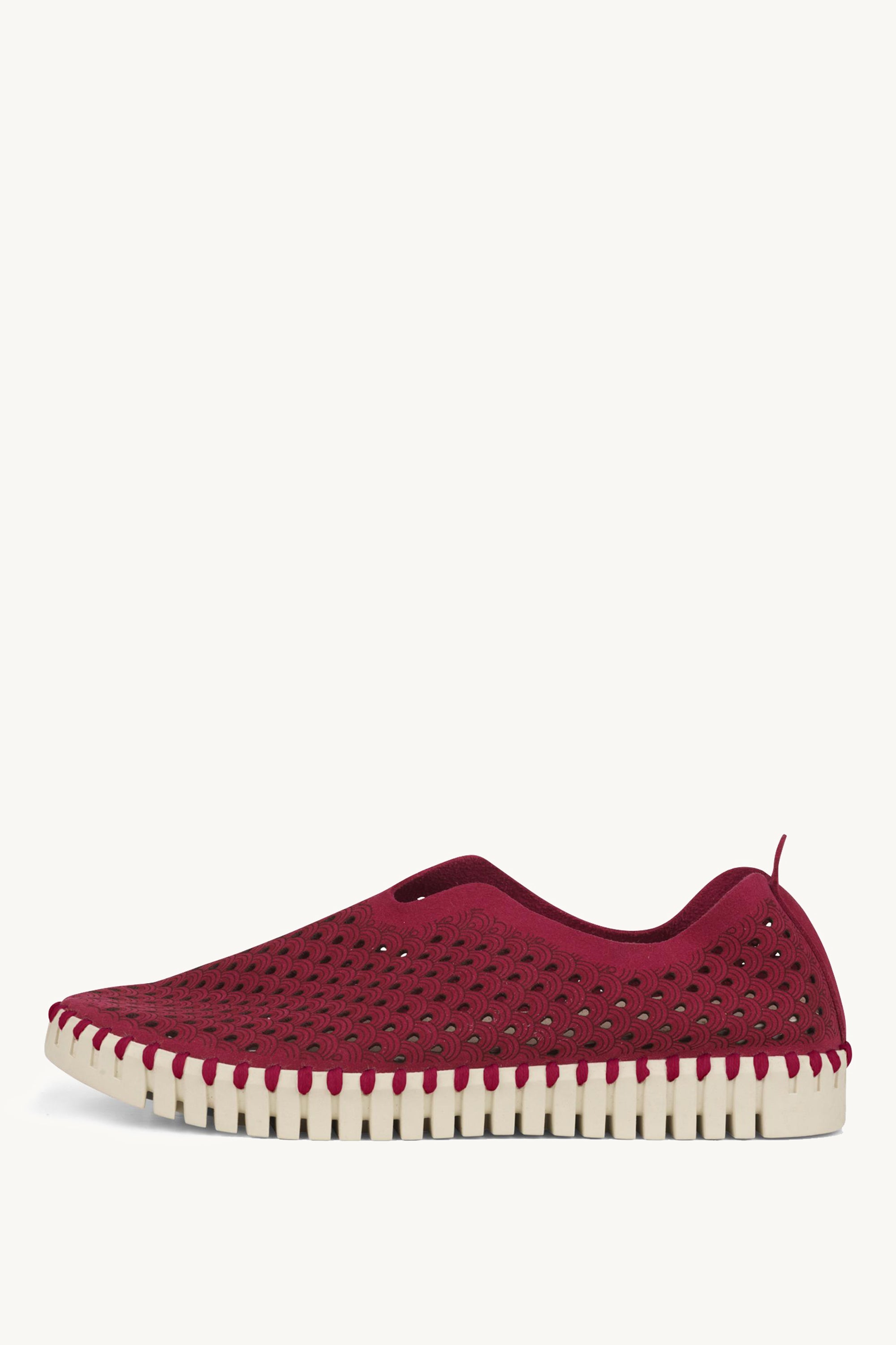 TULIP3275 CERISE