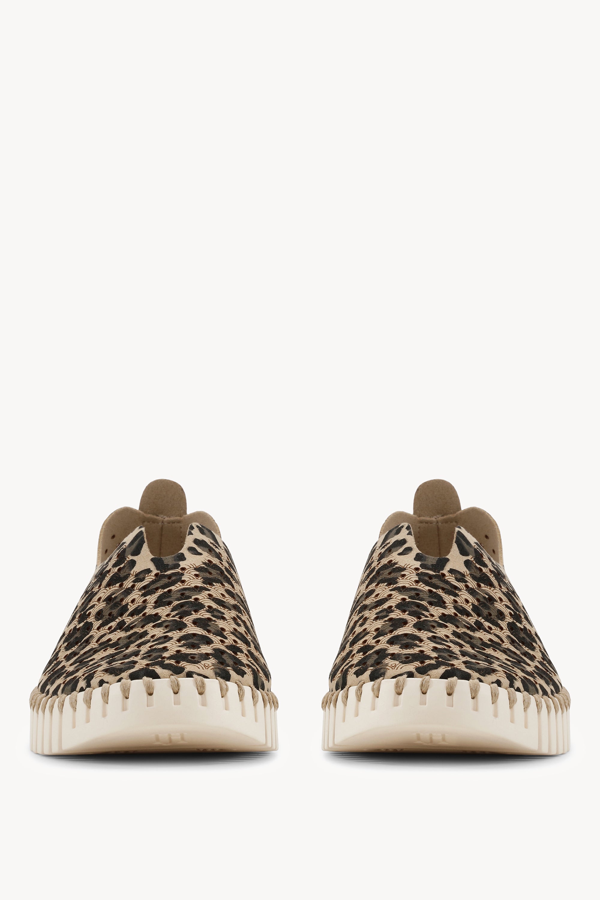 TULIP3275LEO LATTE PEARLED IVORY