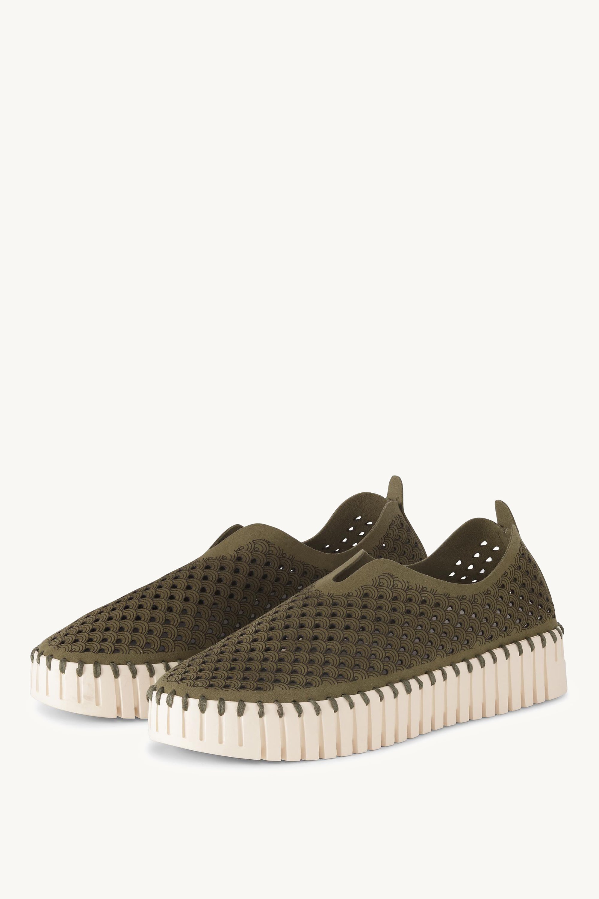 TULIP3373 DEEP OLIVE