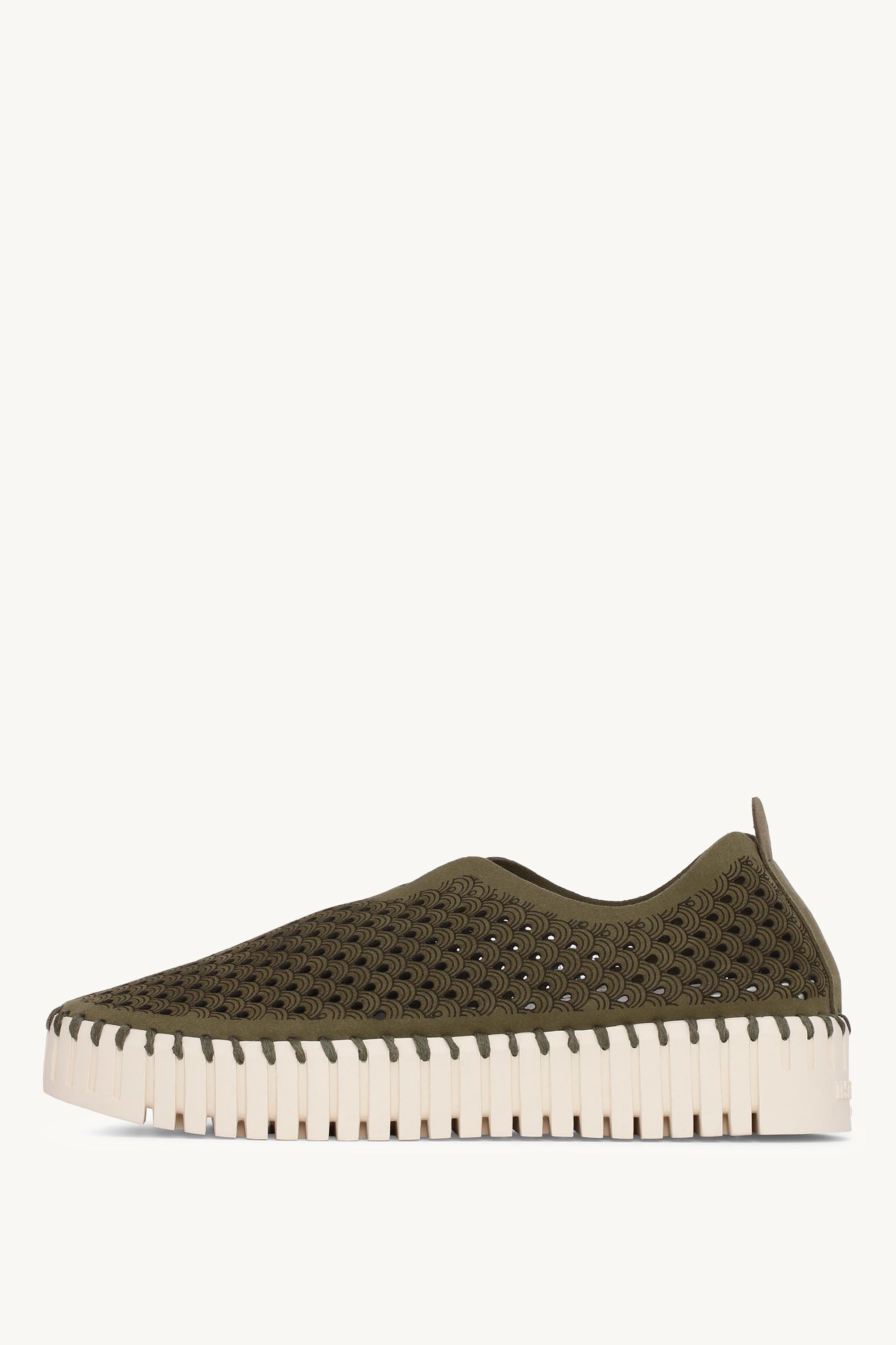 TULIP3373 DEEP OLIVE