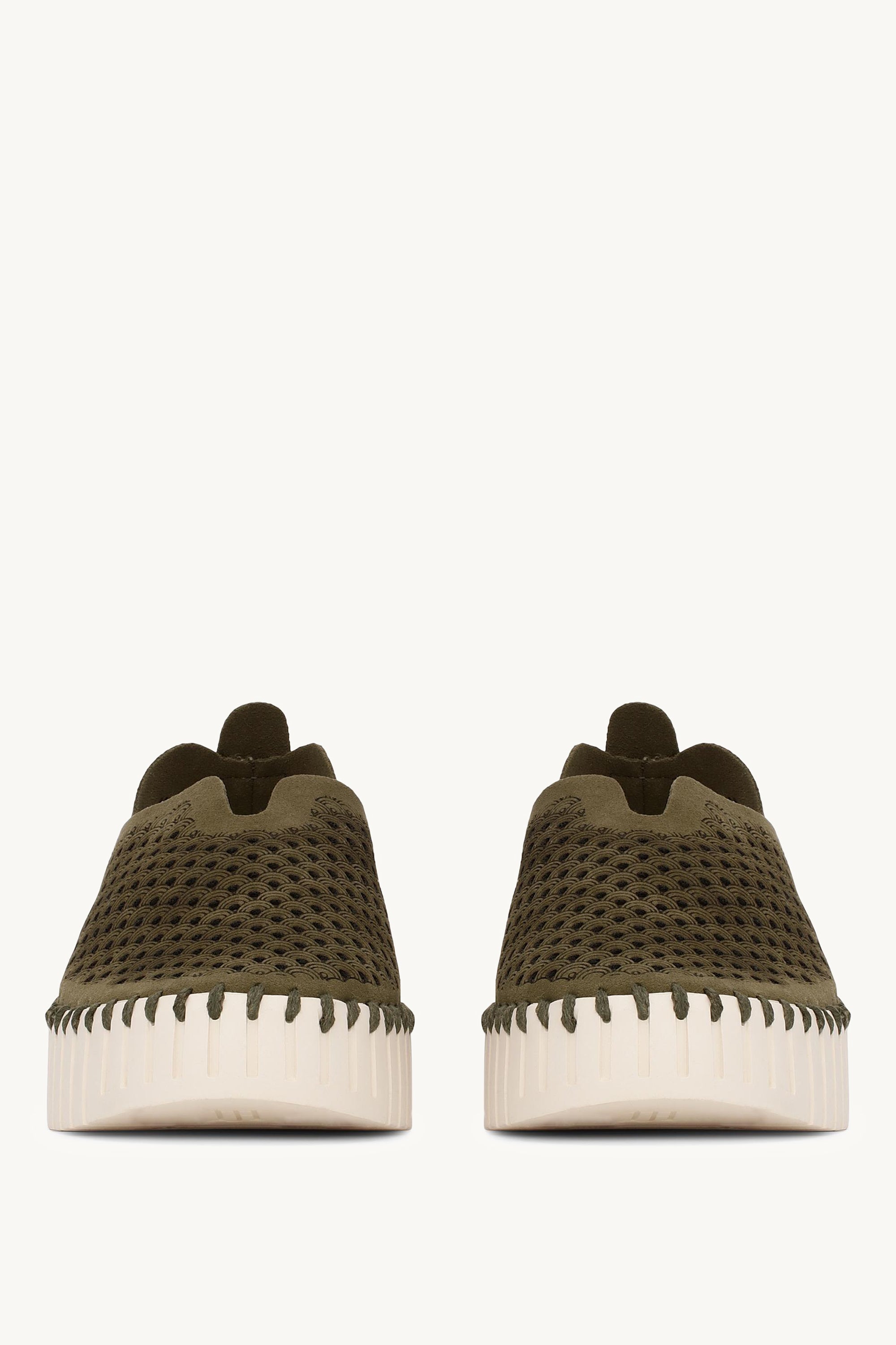 TULIP3373 DEEP OLIVE