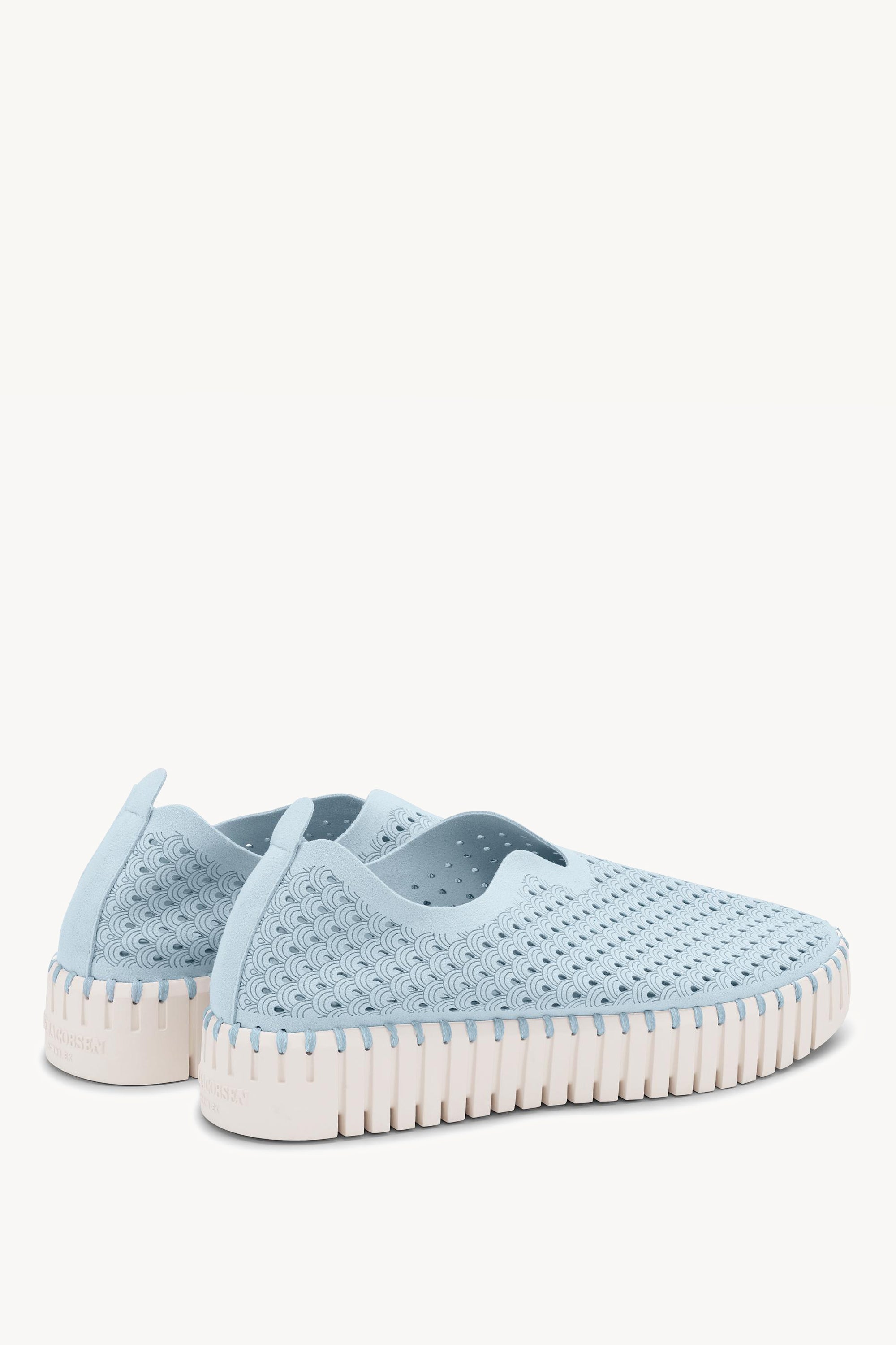 TULIP3373 ASH BLUE