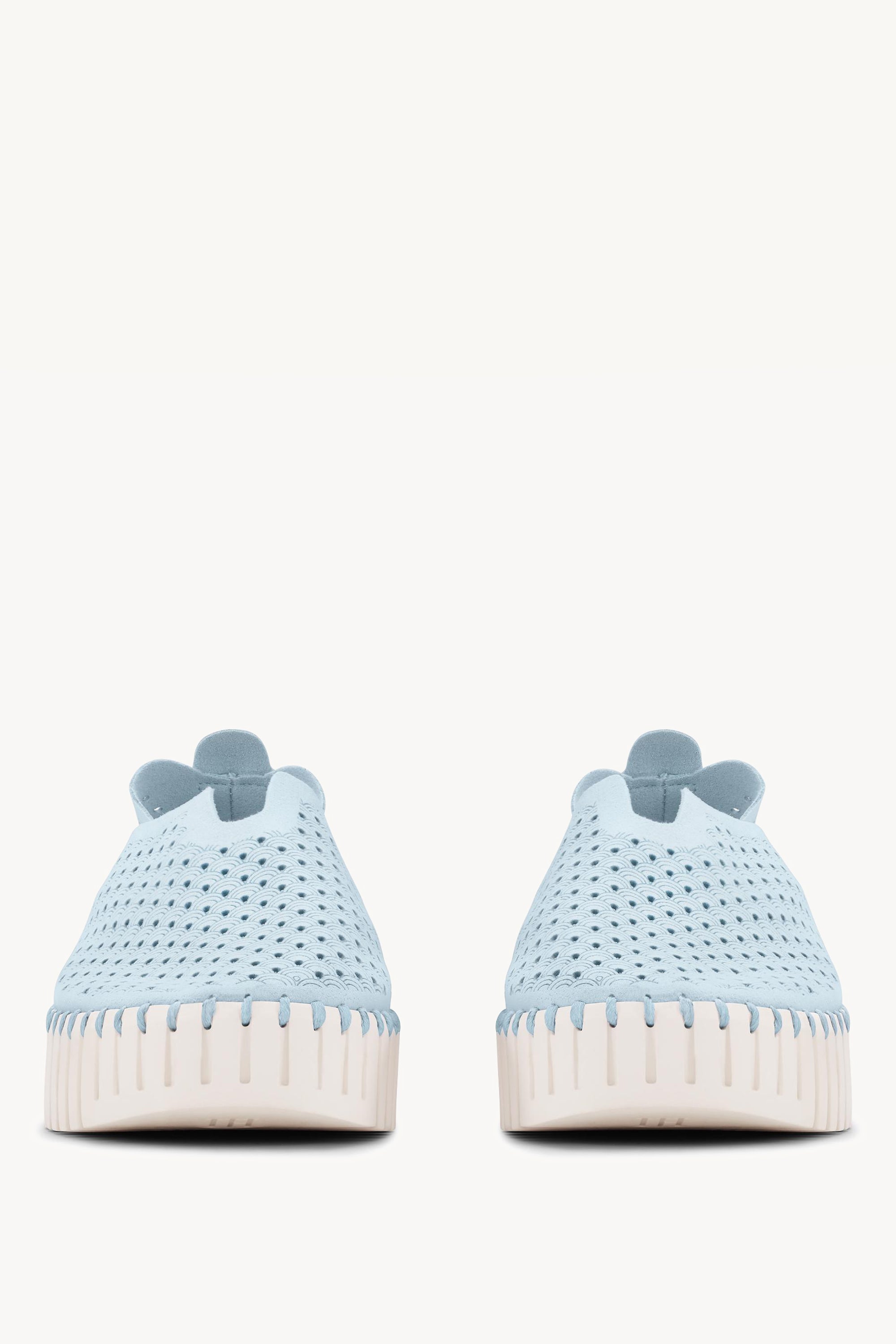 TULIP3373 ASH BLUE