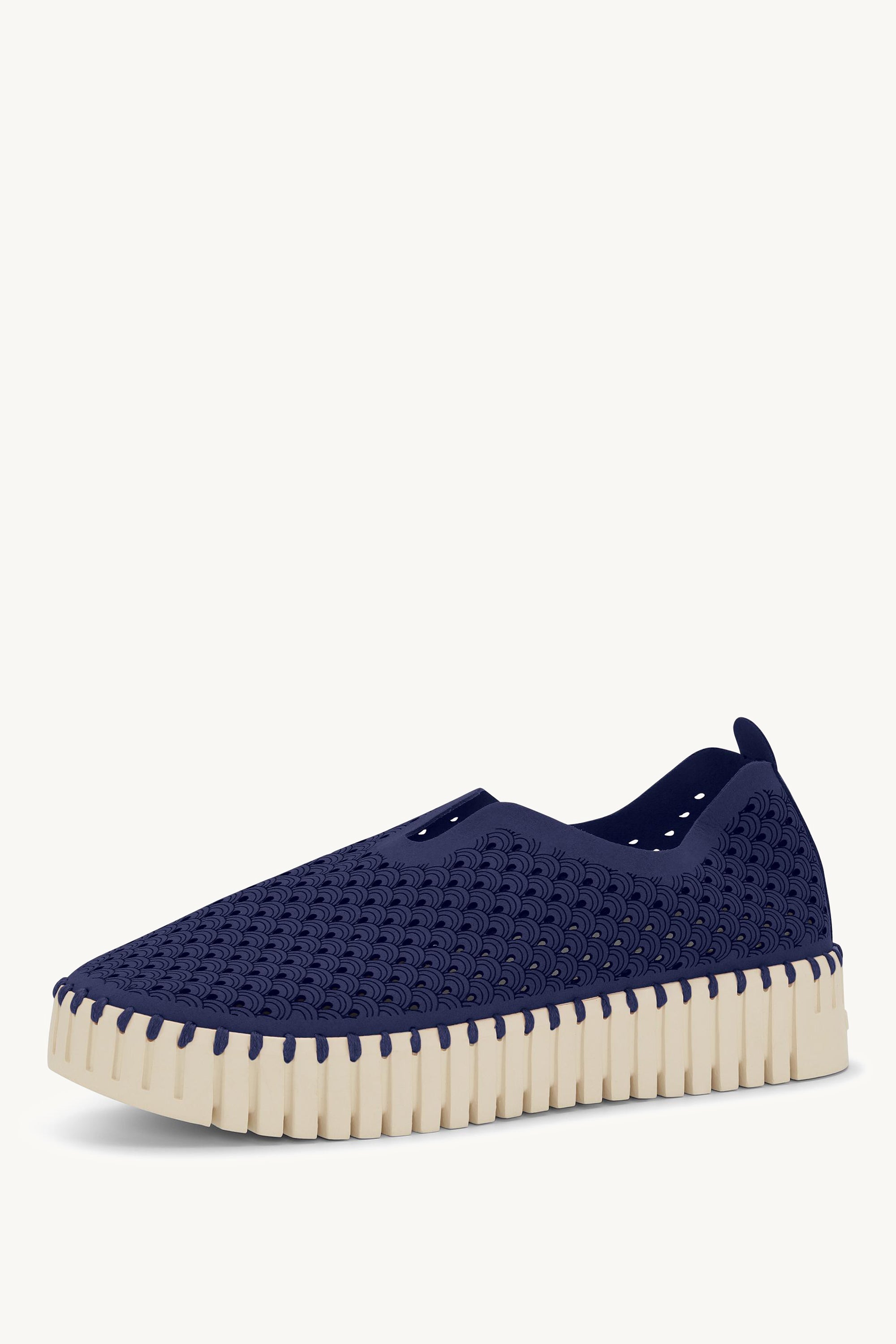 TULIP3373 DARK INDIGO