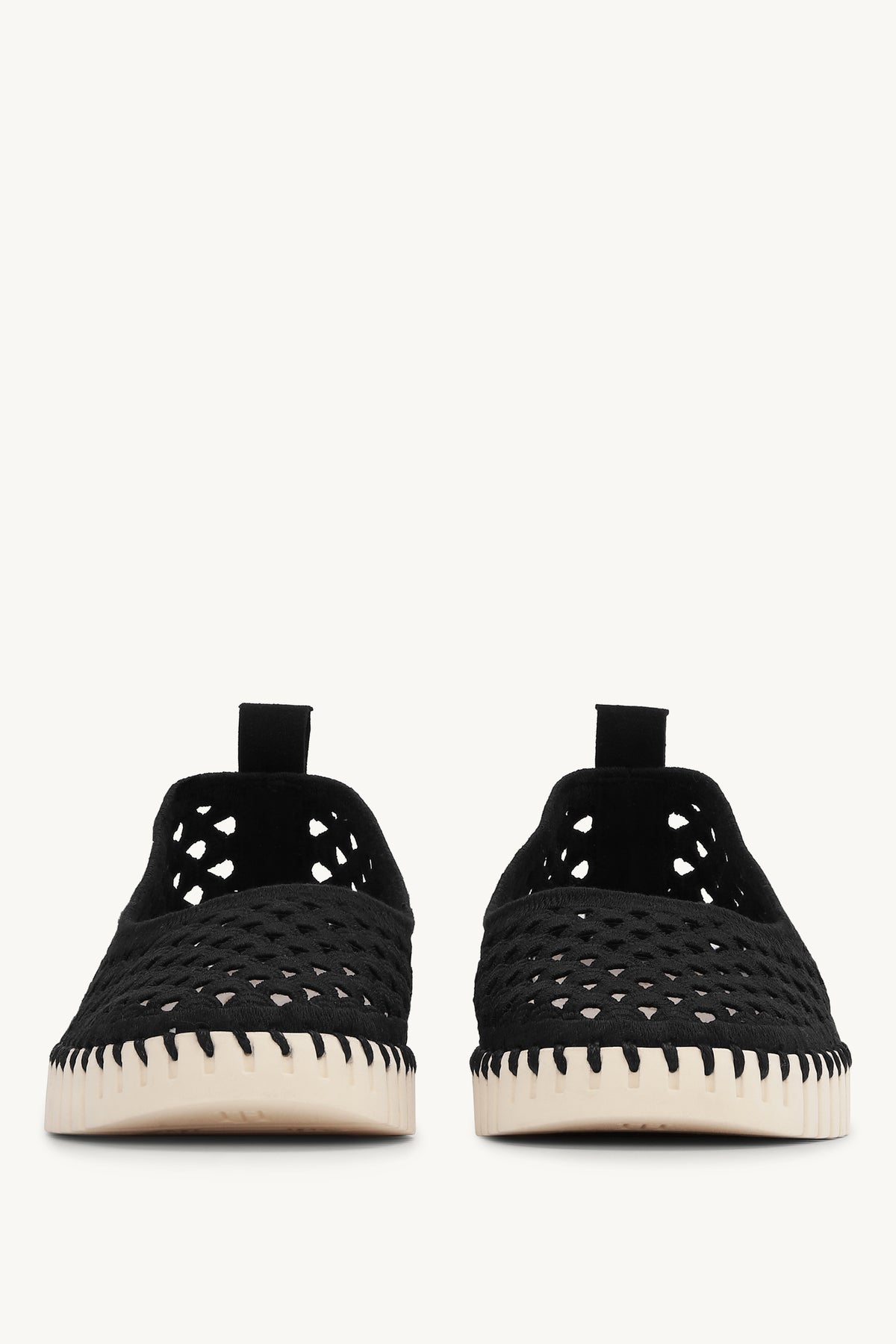TULIP3479 BLACK PEARLED IVORY