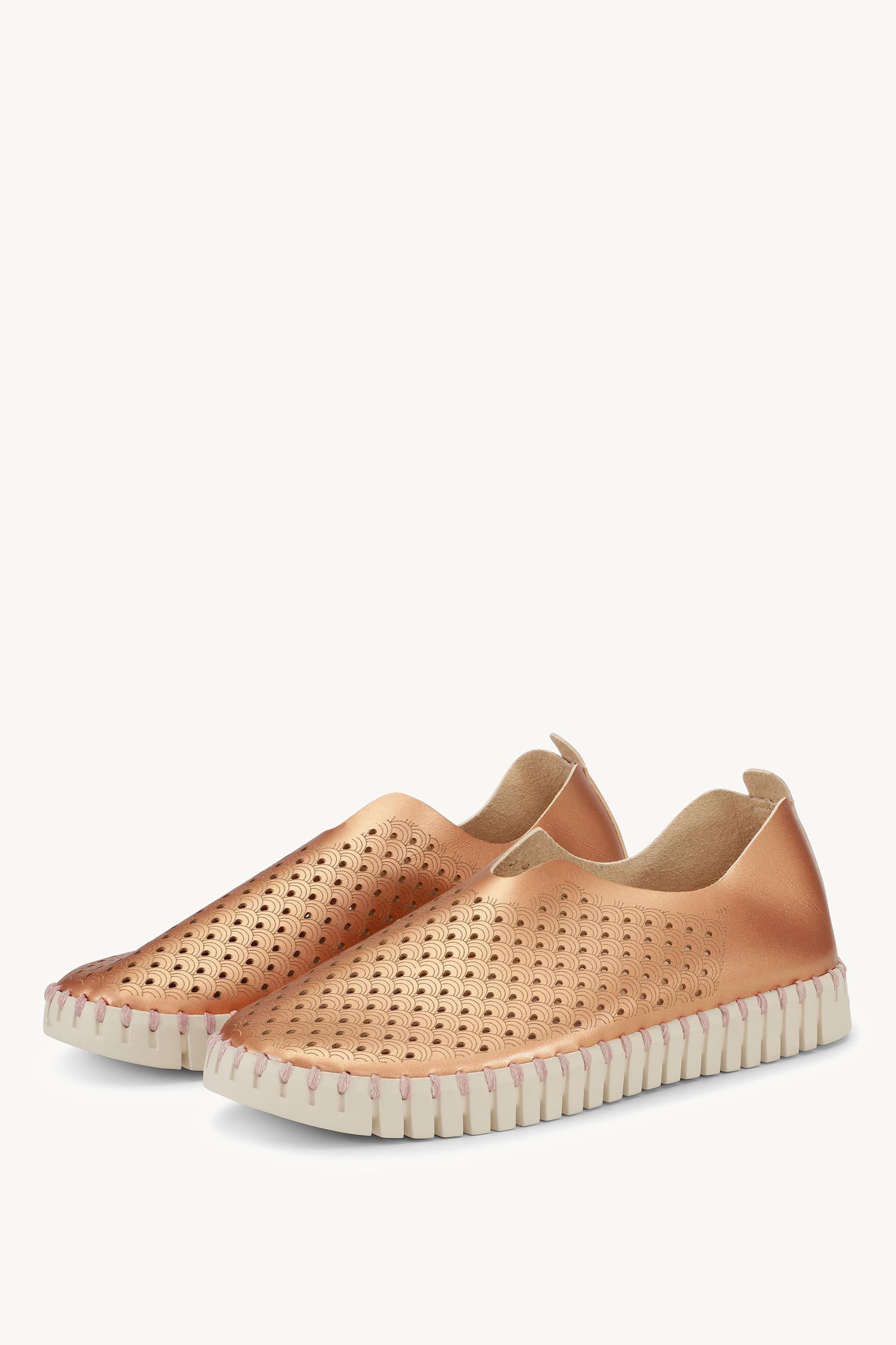 TULIP3576 ROSE GOLD