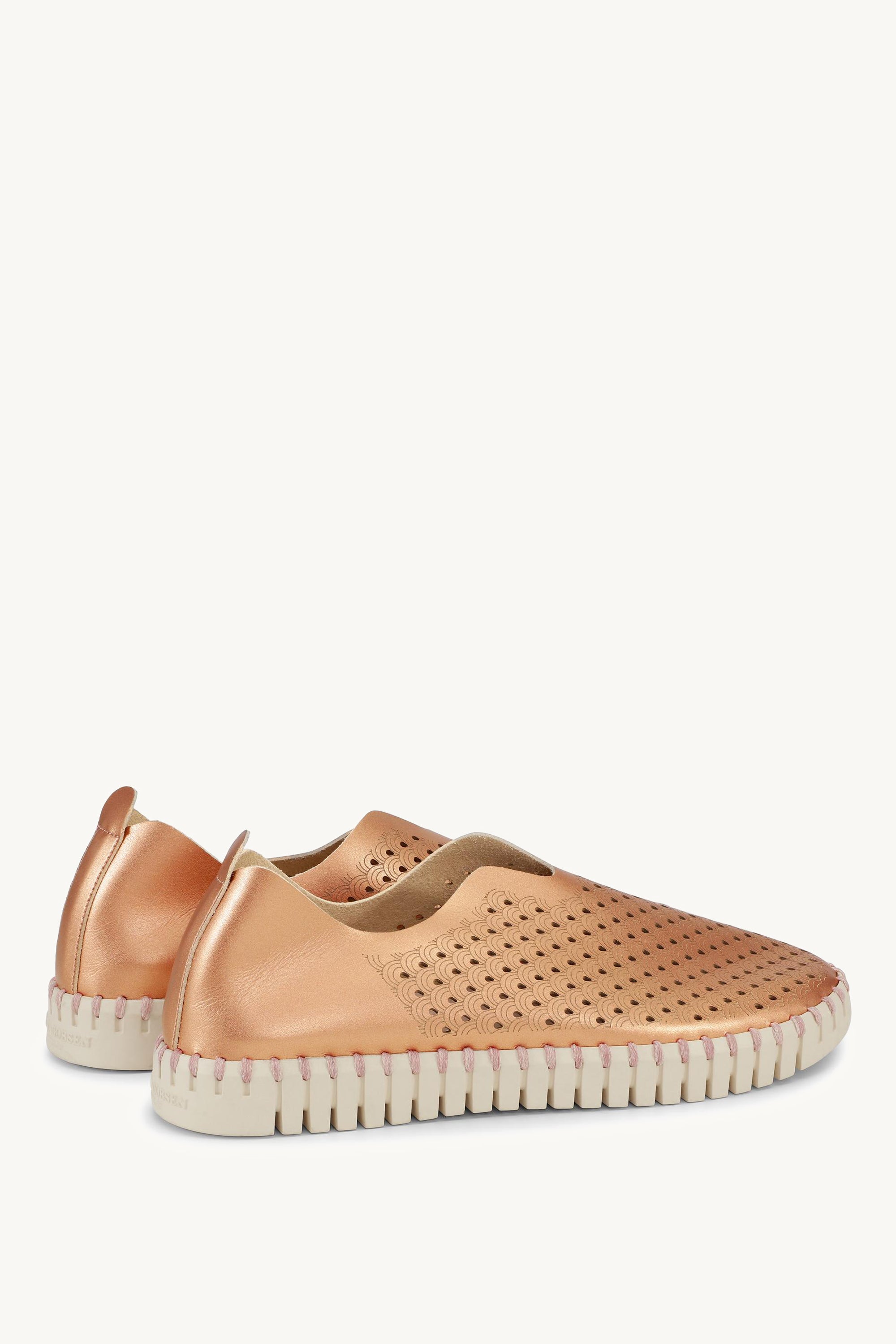 TULIP3576 ROSE GOLD