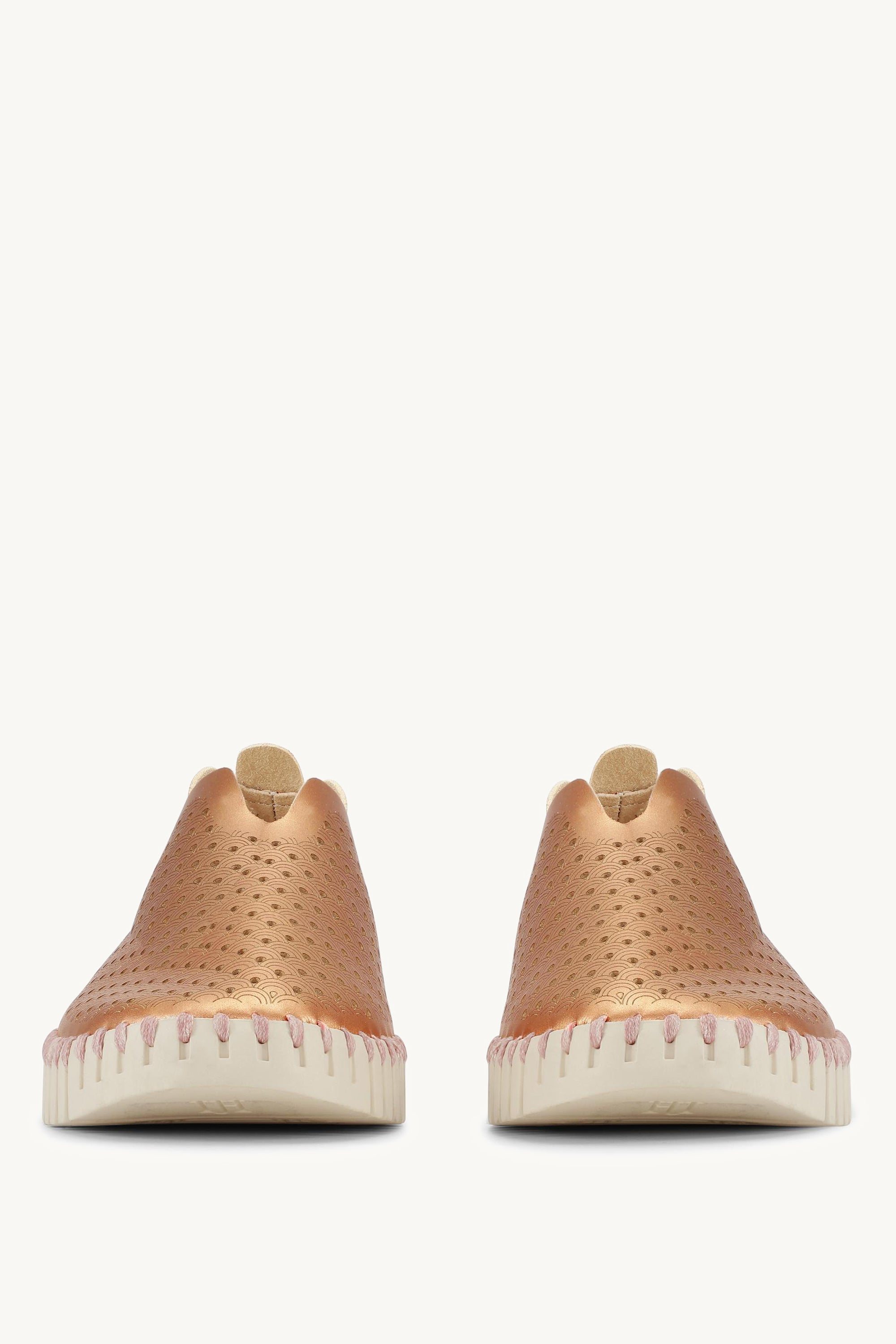 TULIP3576 ROSE GOLD