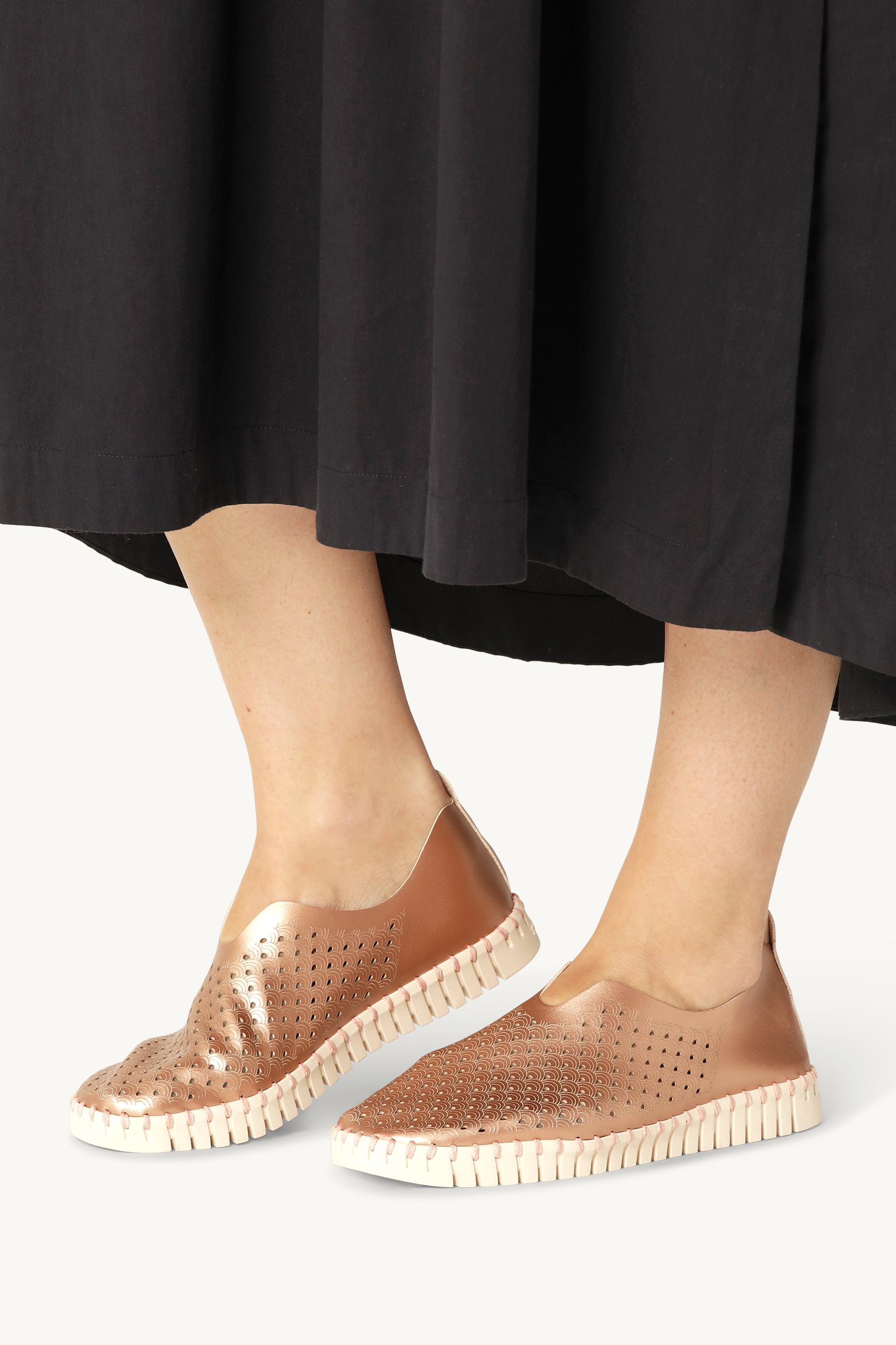 TULIP3576 ROSE GOLD