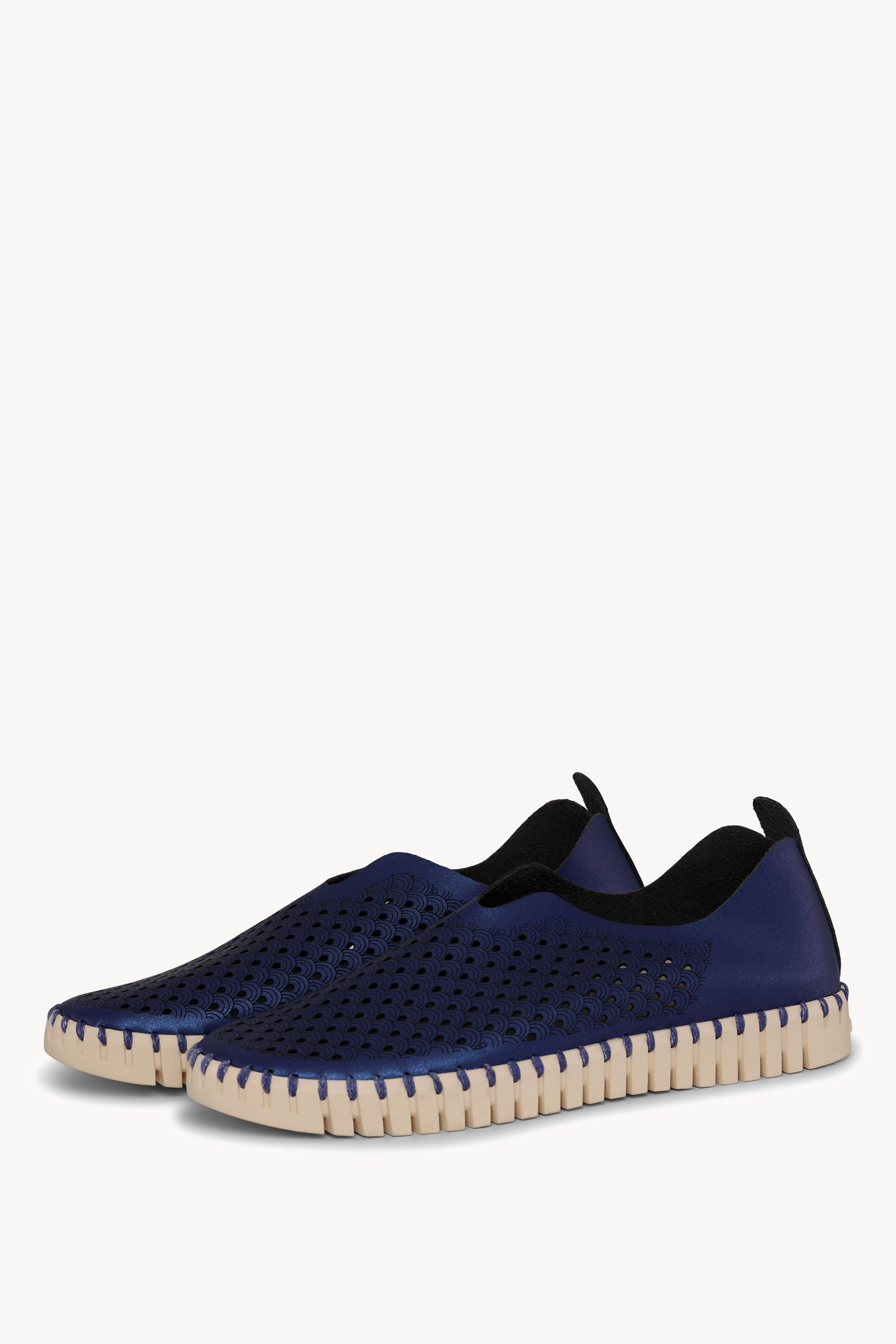 TULIP3576N BLUE WEB