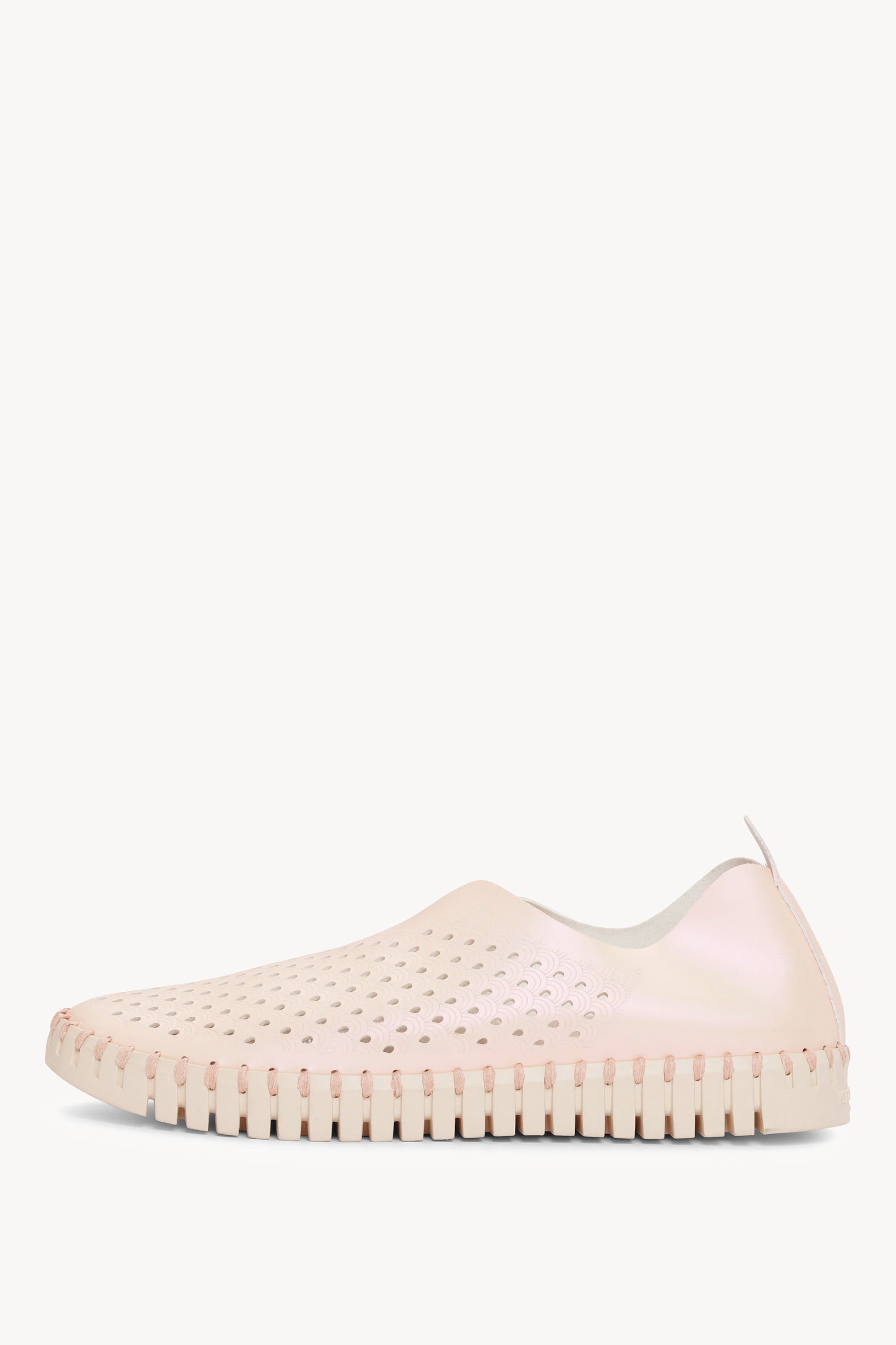 TULIP3576N METALLIC ROSE