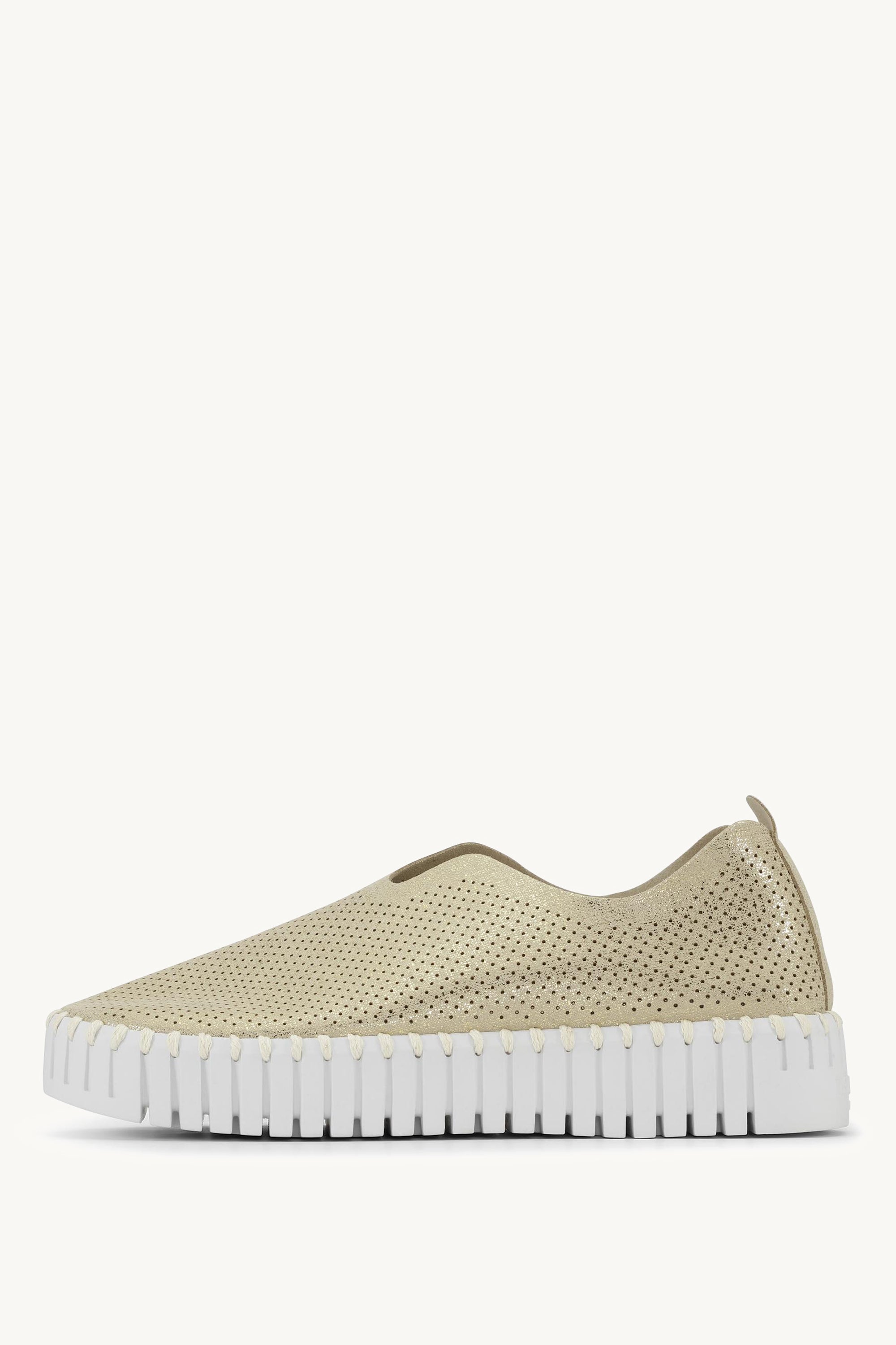 TULIP3577 PLATIN WHITE
