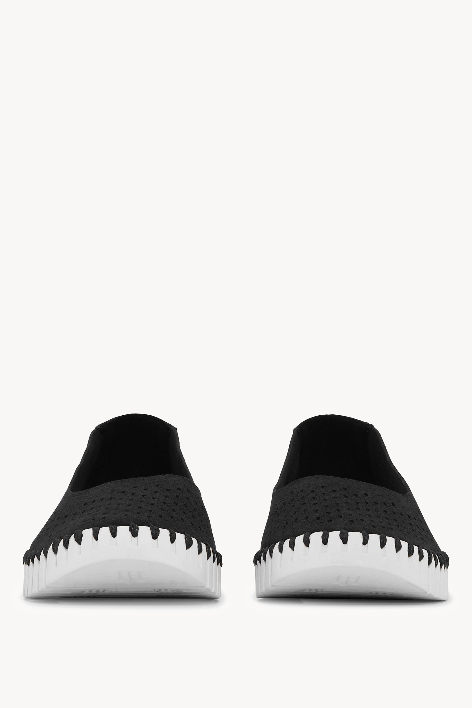 TULIP3579 BLACK WHITE