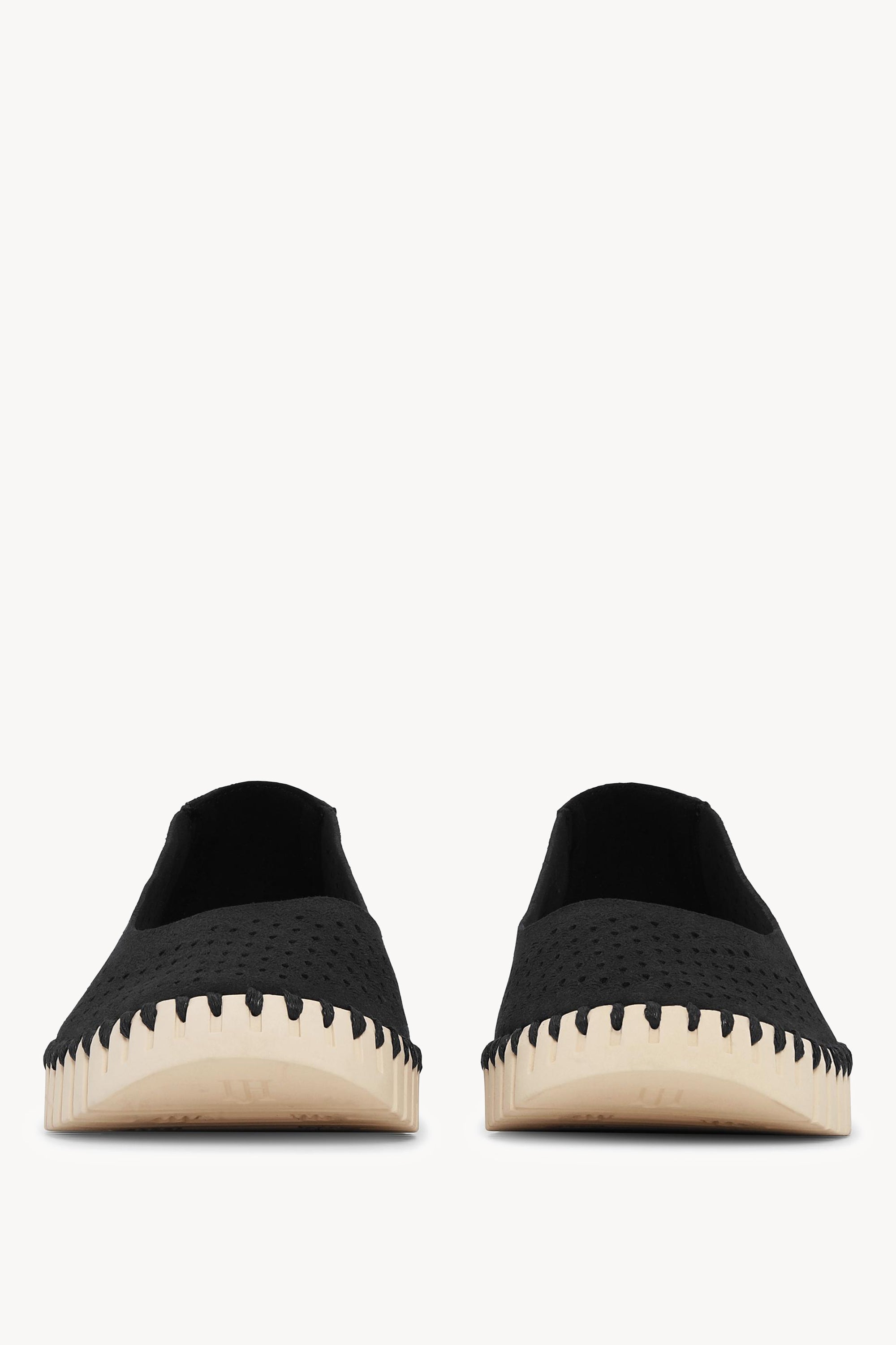TULIP3579 BLACK PEARLED IVORY
