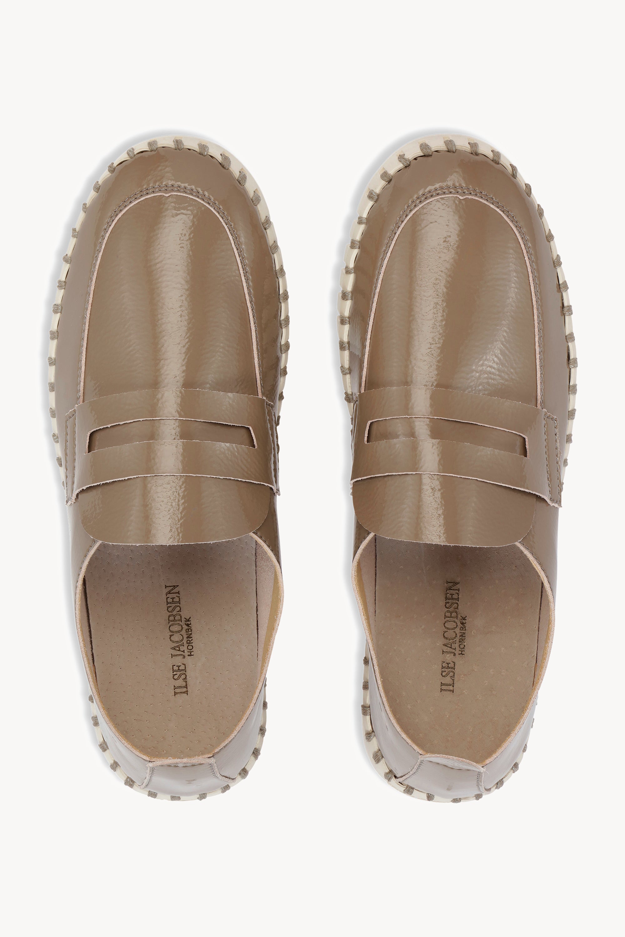 TULIP3865 WHEAT