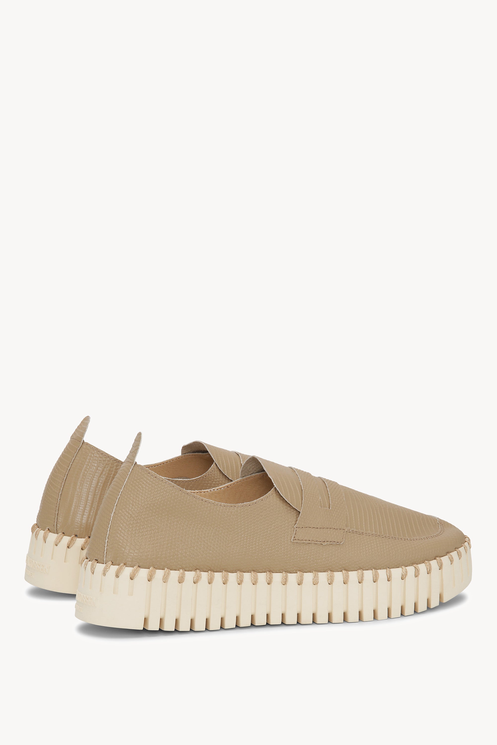 TULIP3867 WHEAT