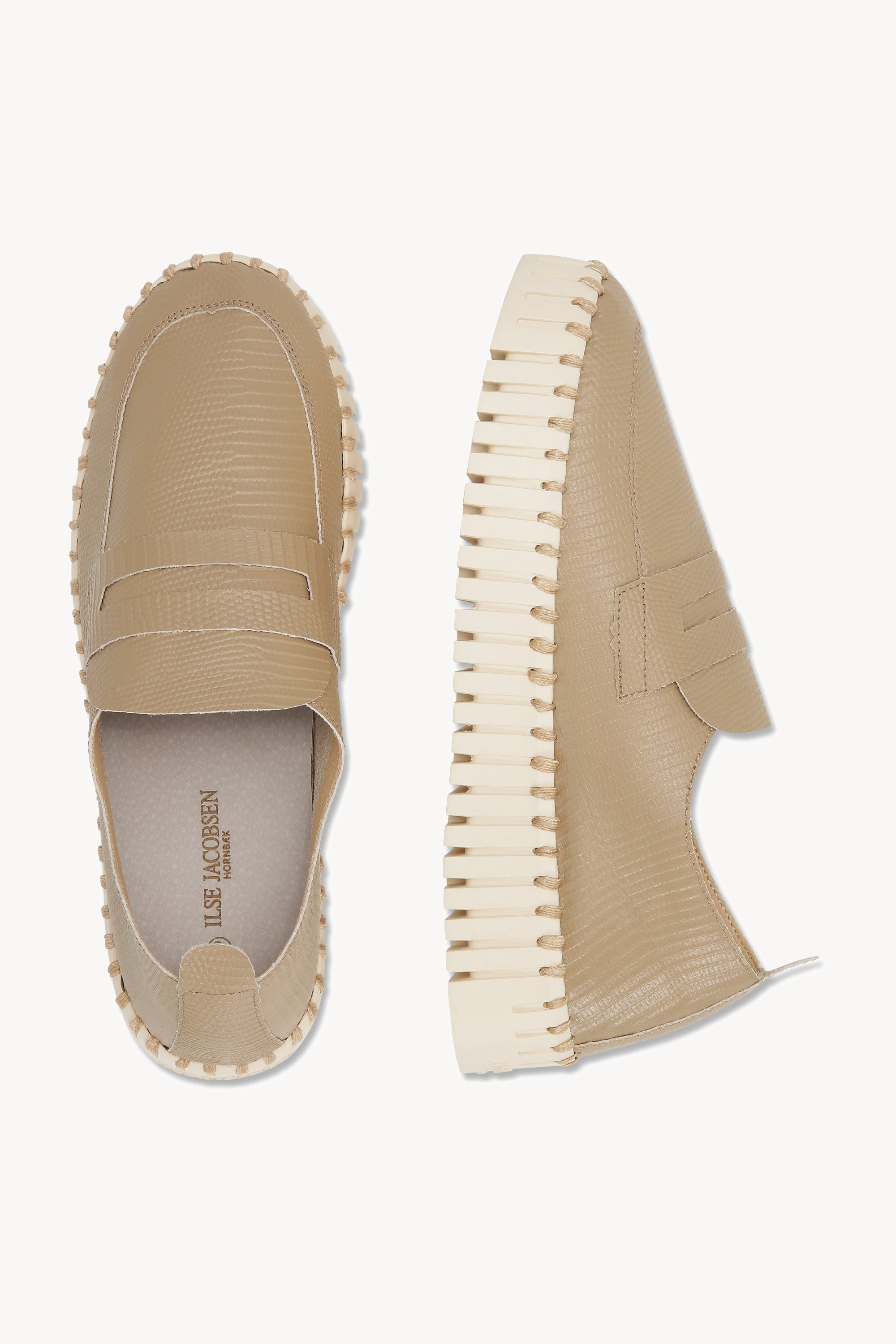 TULIP3867 WHEAT