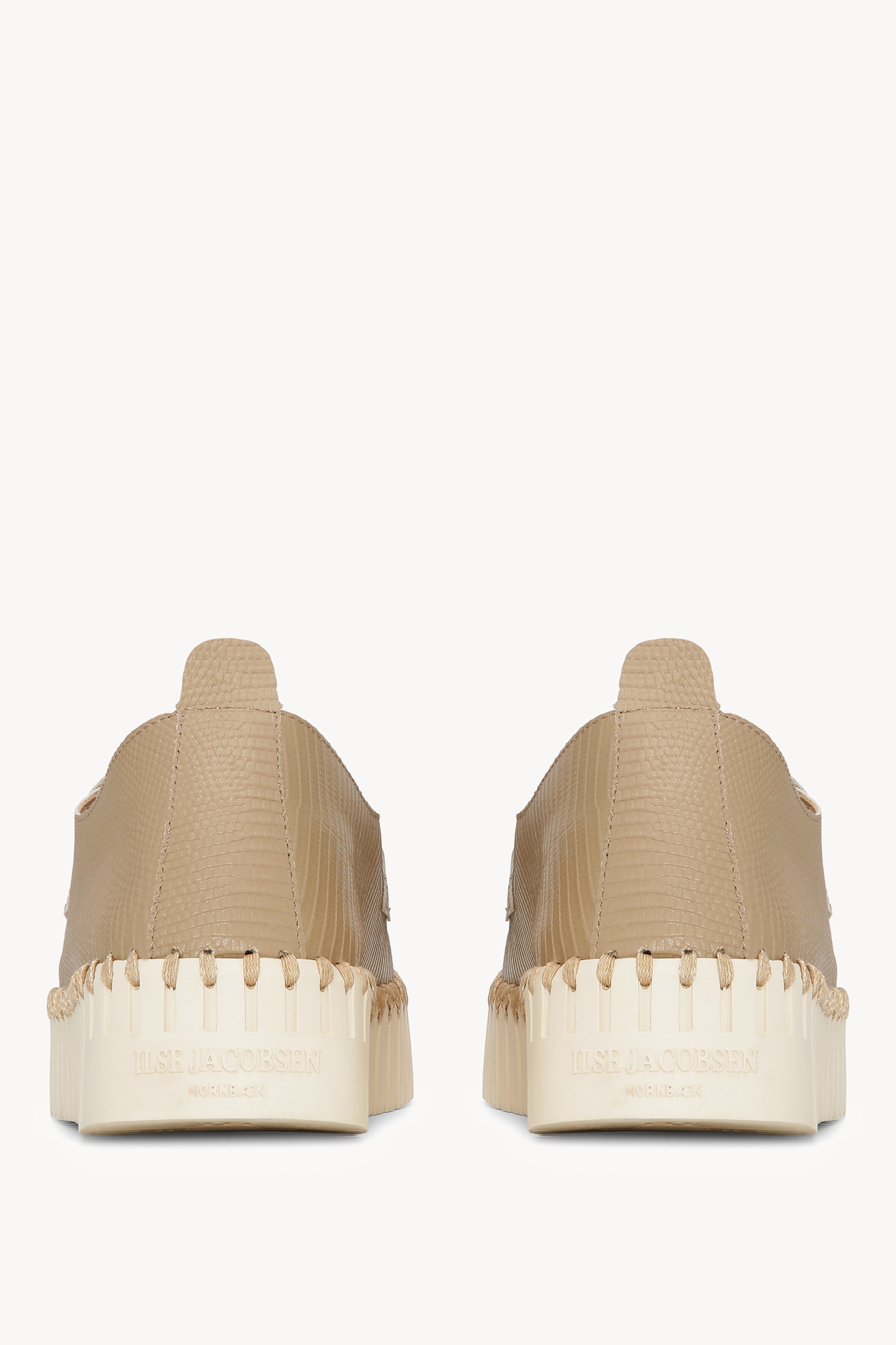 TULIP3867 WHEAT