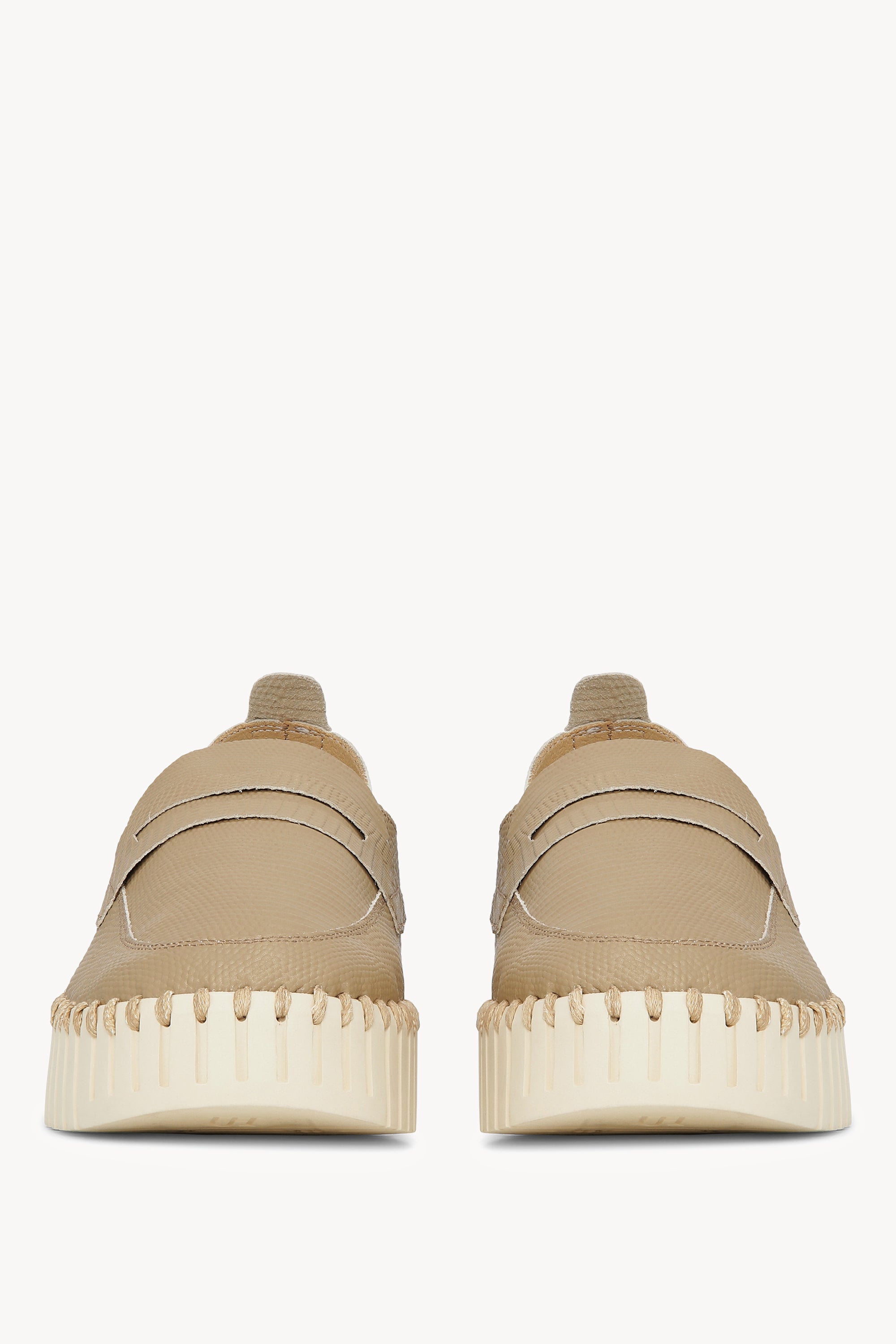 TULIP3867 WHEAT