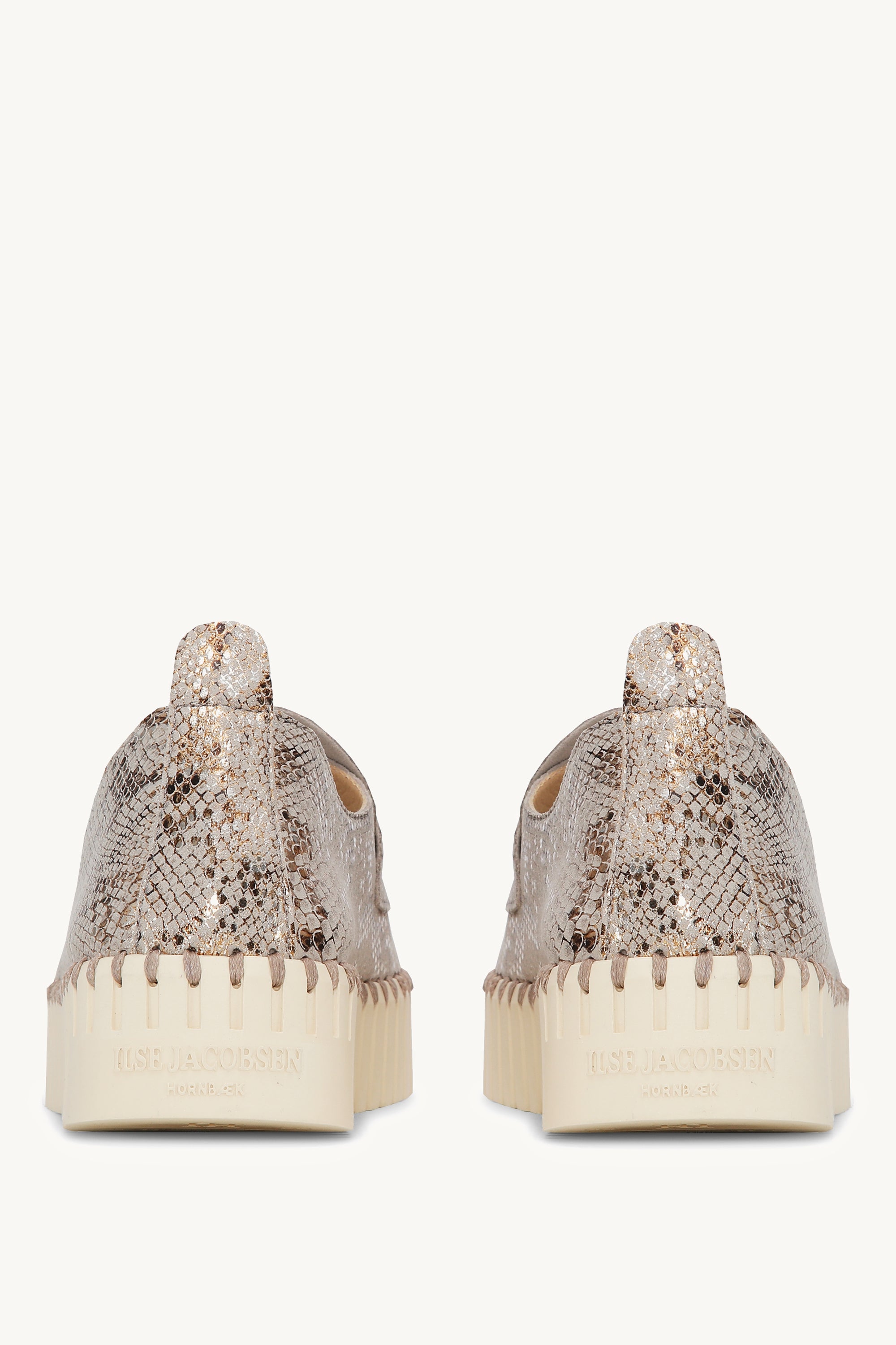 TULIP3868 WHEAT