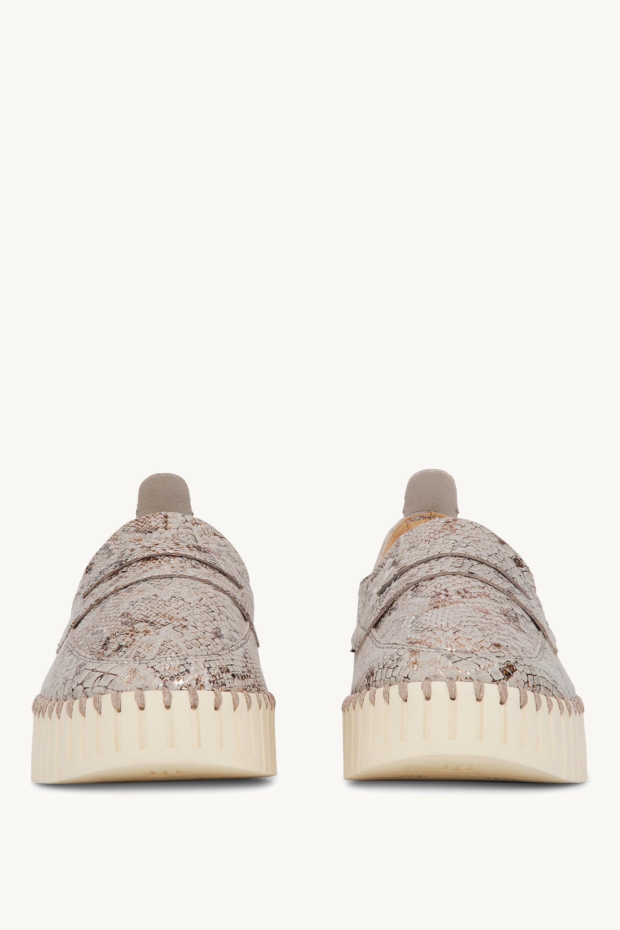 TULIP3868 WHEAT