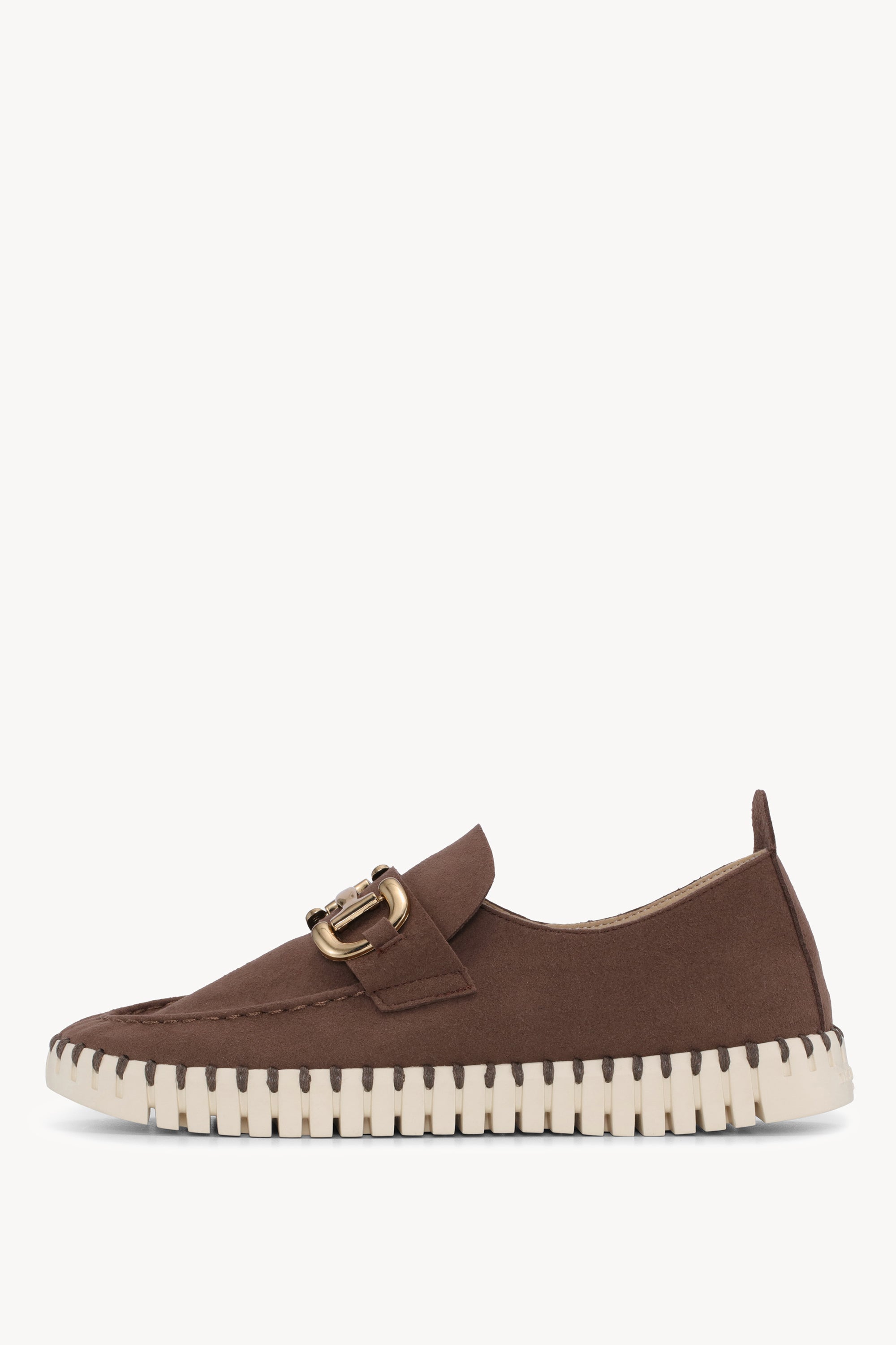 TULIP3874 BROWN