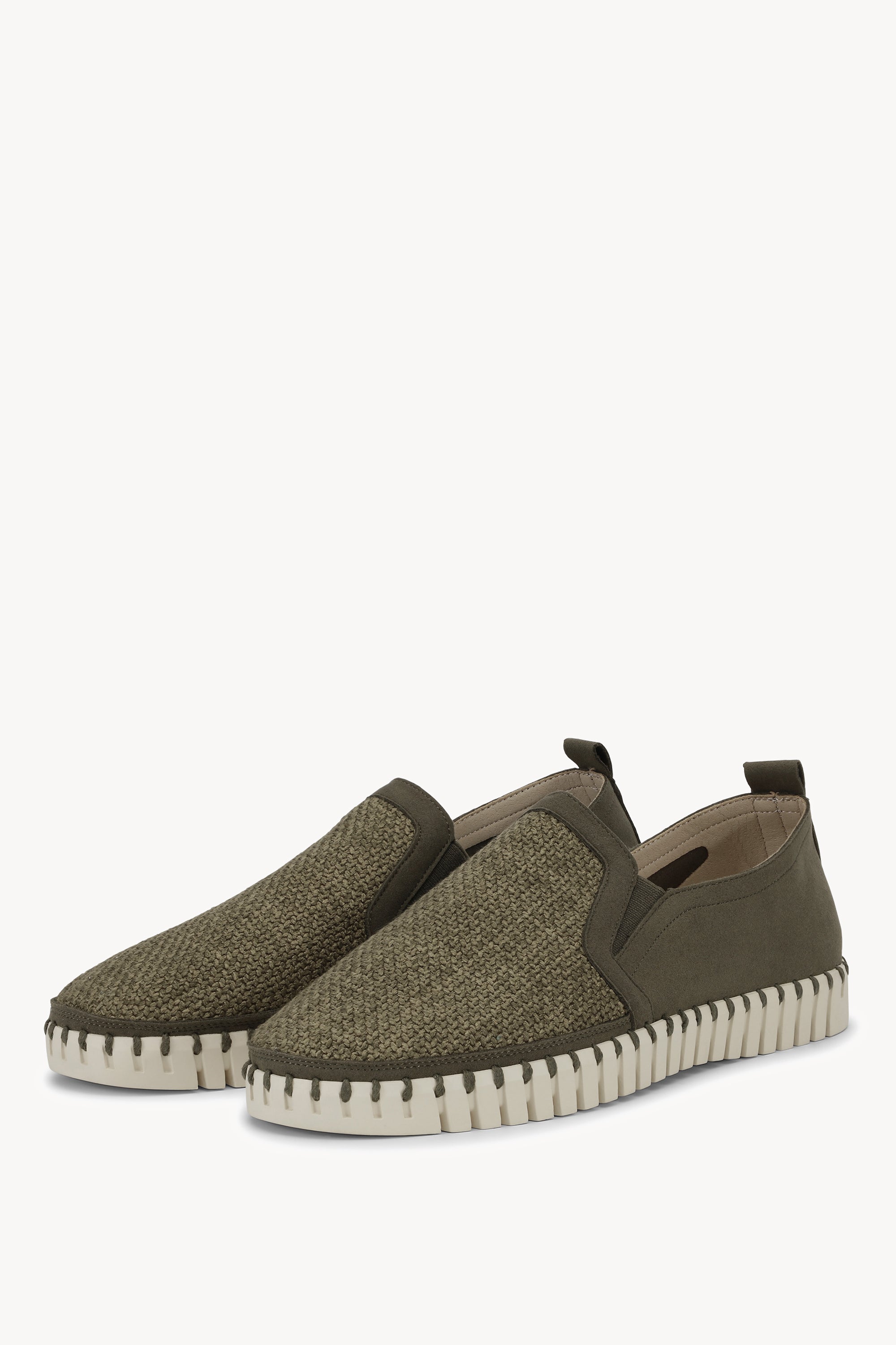 TULIP3885 DEEP OLIVE PEARLED IVORY