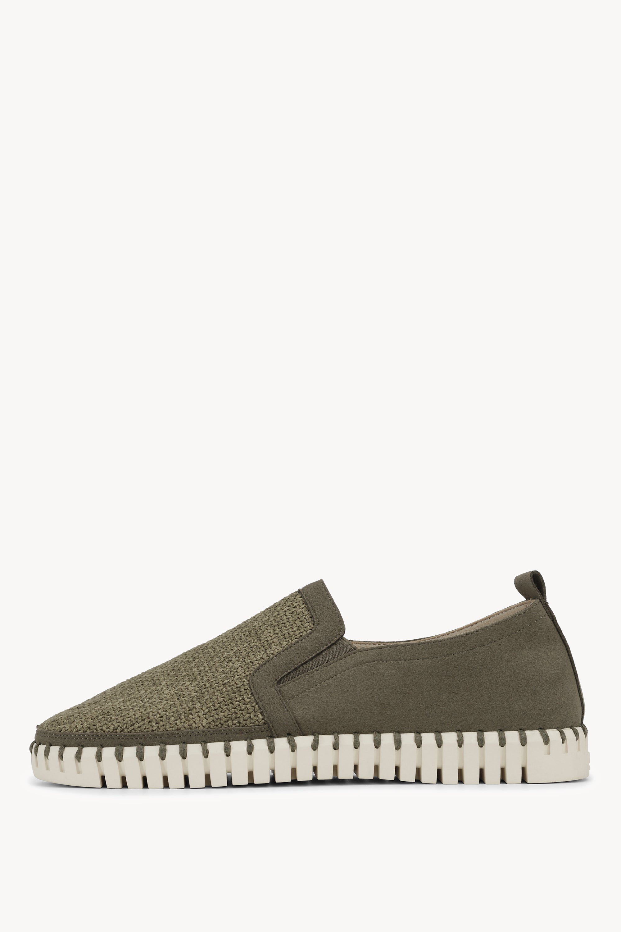 TULIP3885 DEEP OLIVE PEARLED IVORY